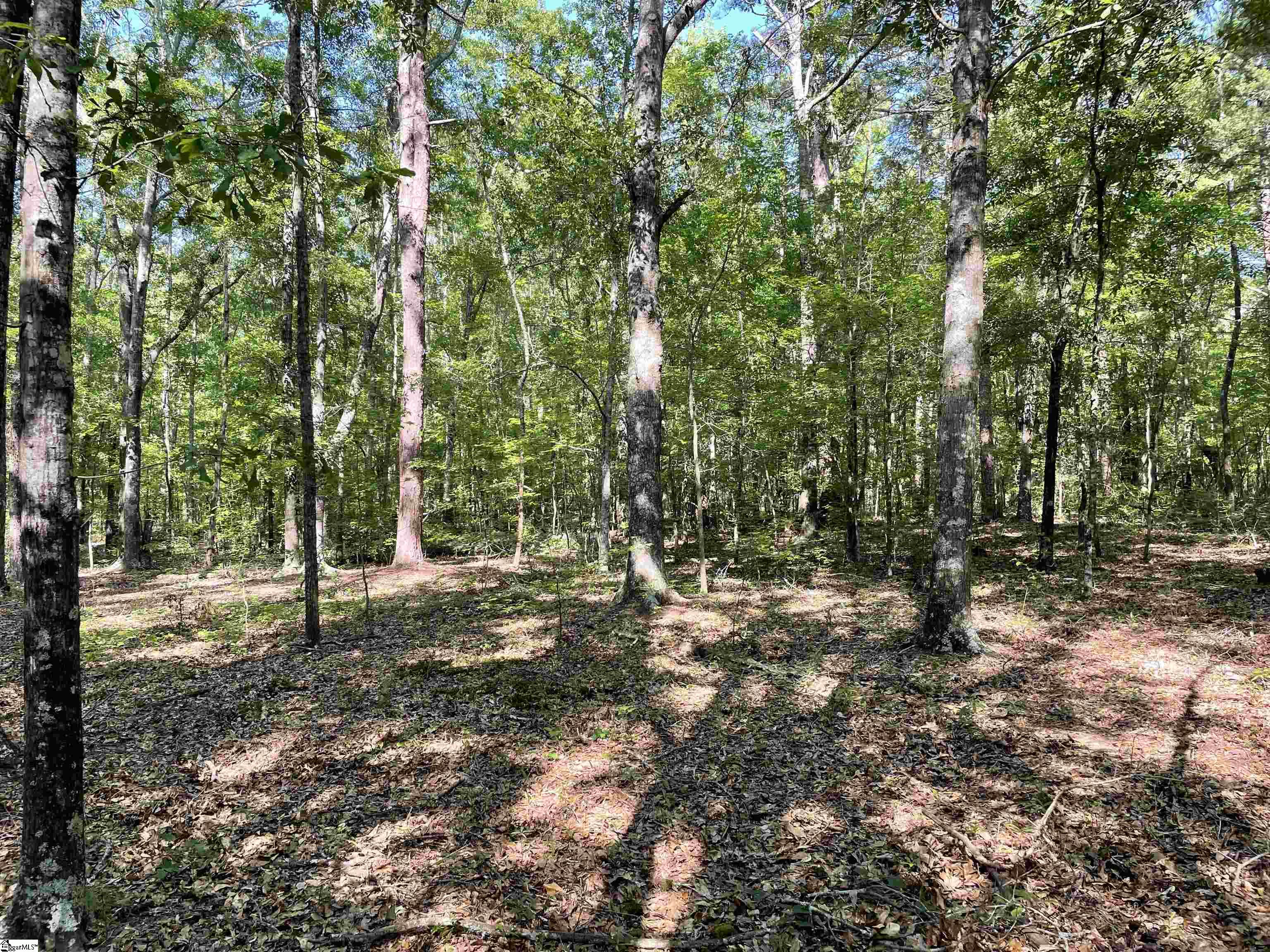 00 Clatworthy, Honea Path, South Carolina image 5