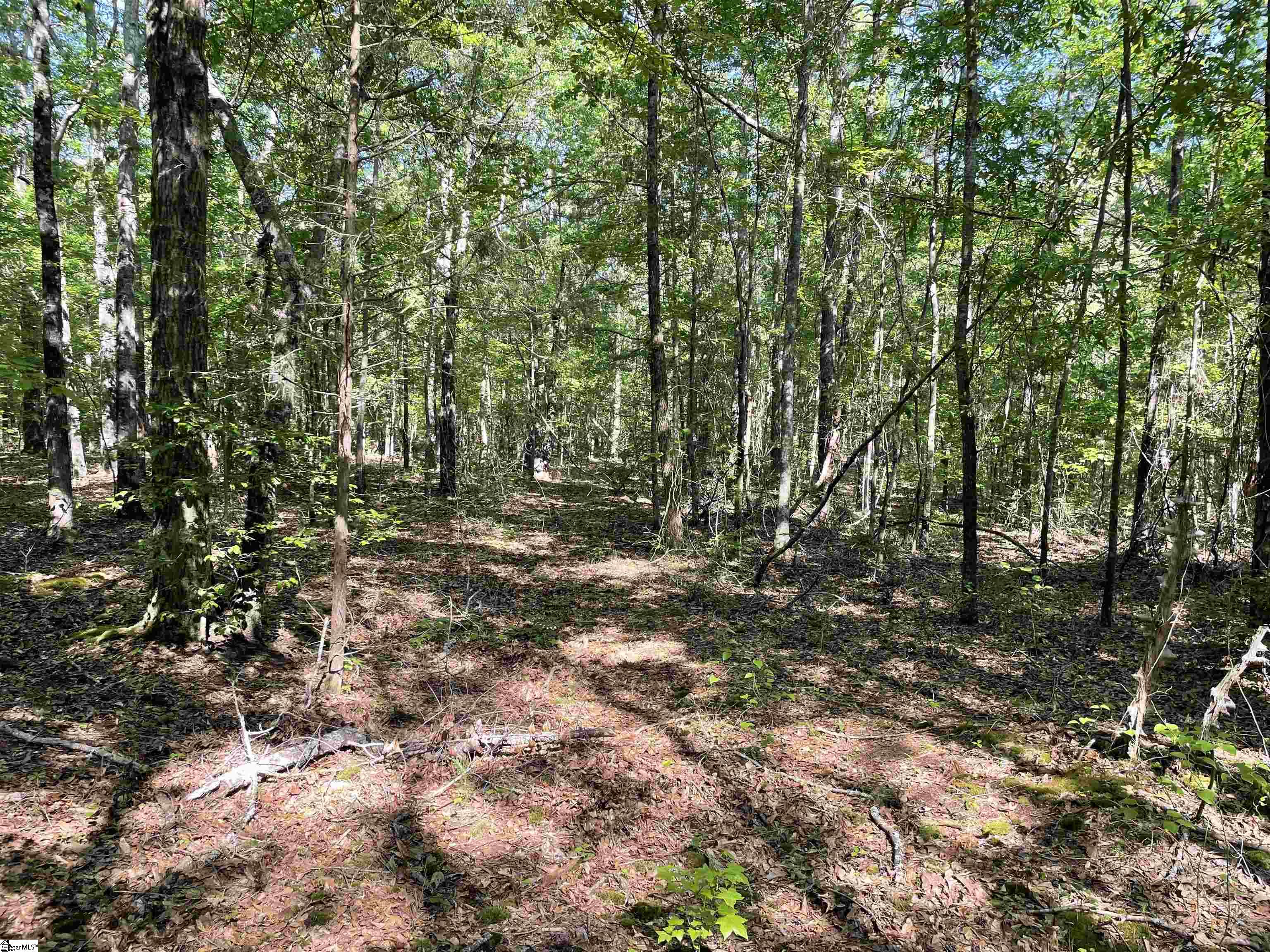 00 Clatworthy, Honea Path, South Carolina image 6