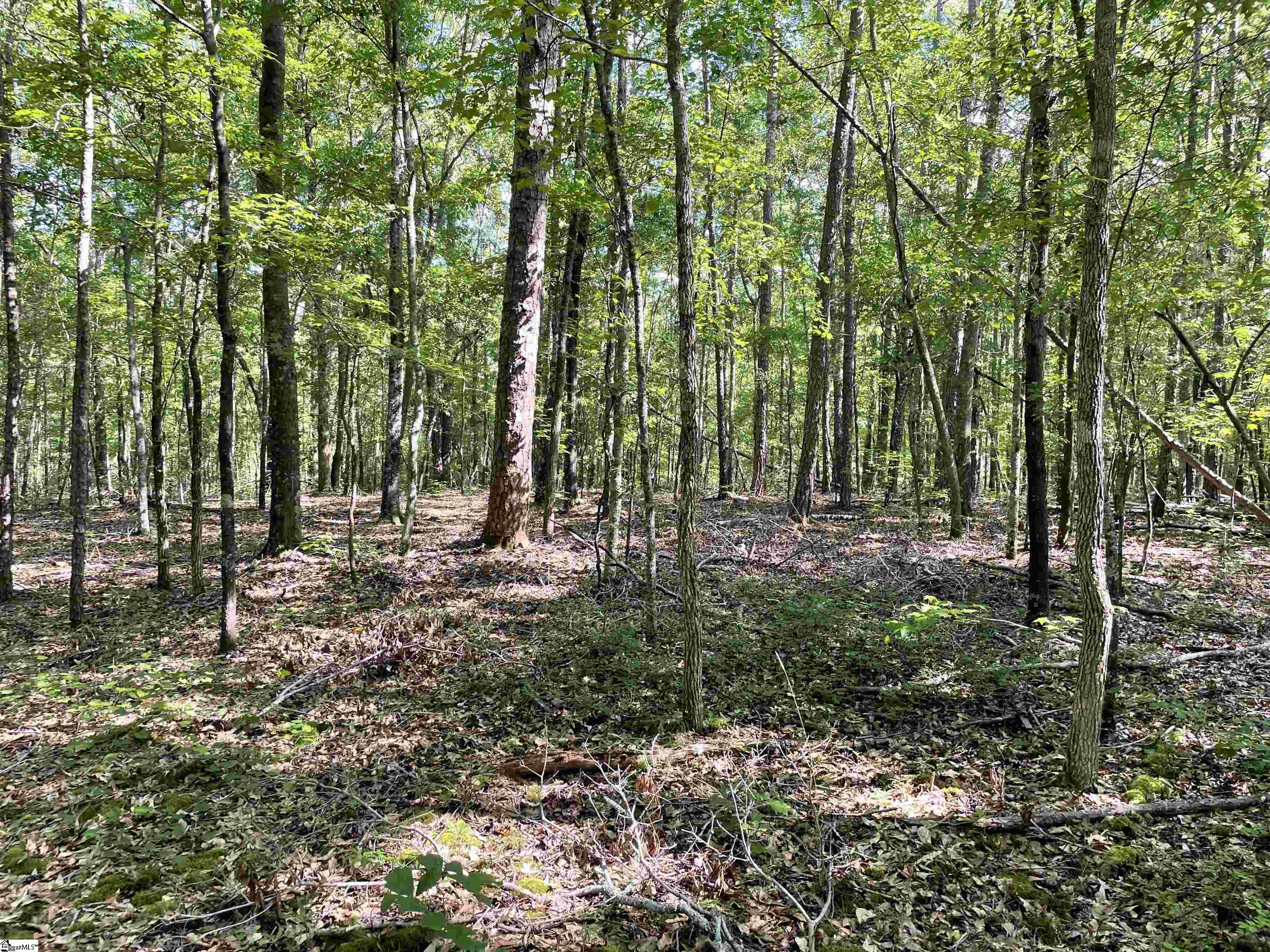 00 Clatworthy, Honea Path, South Carolina image 7