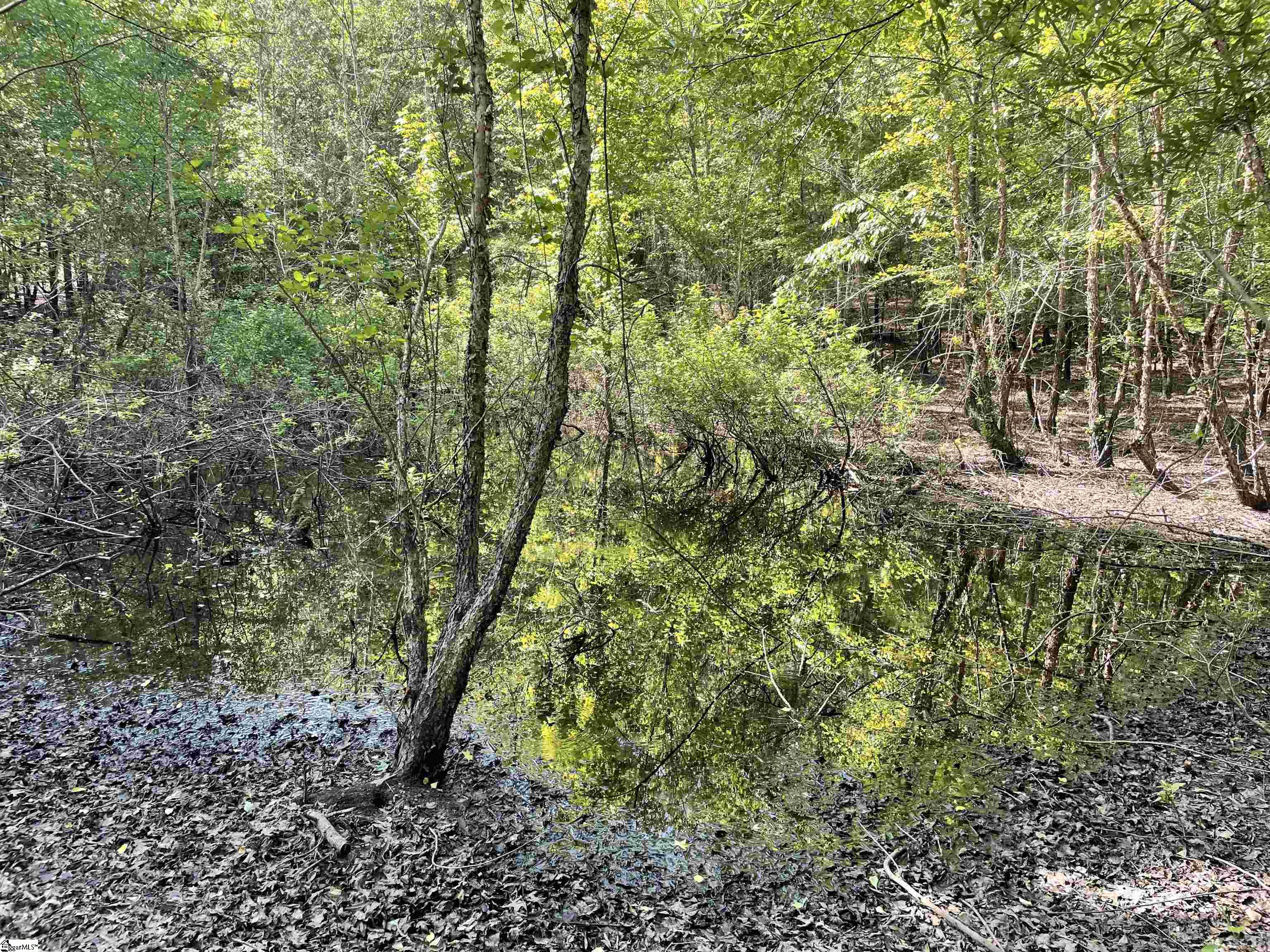 00 Clatworthy, Honea Path, South Carolina image 8