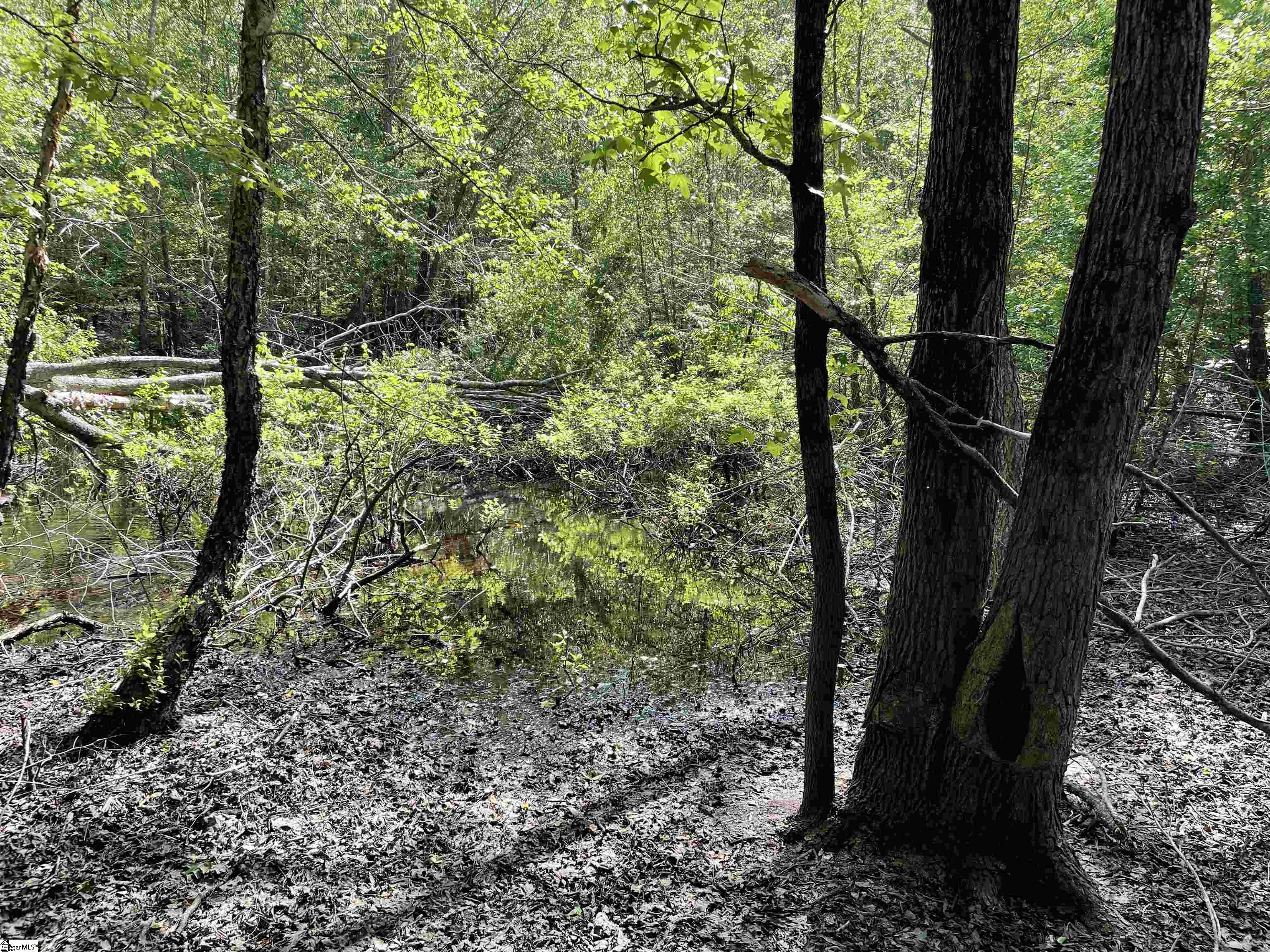 00 Clatworthy, Honea Path, South Carolina image 9