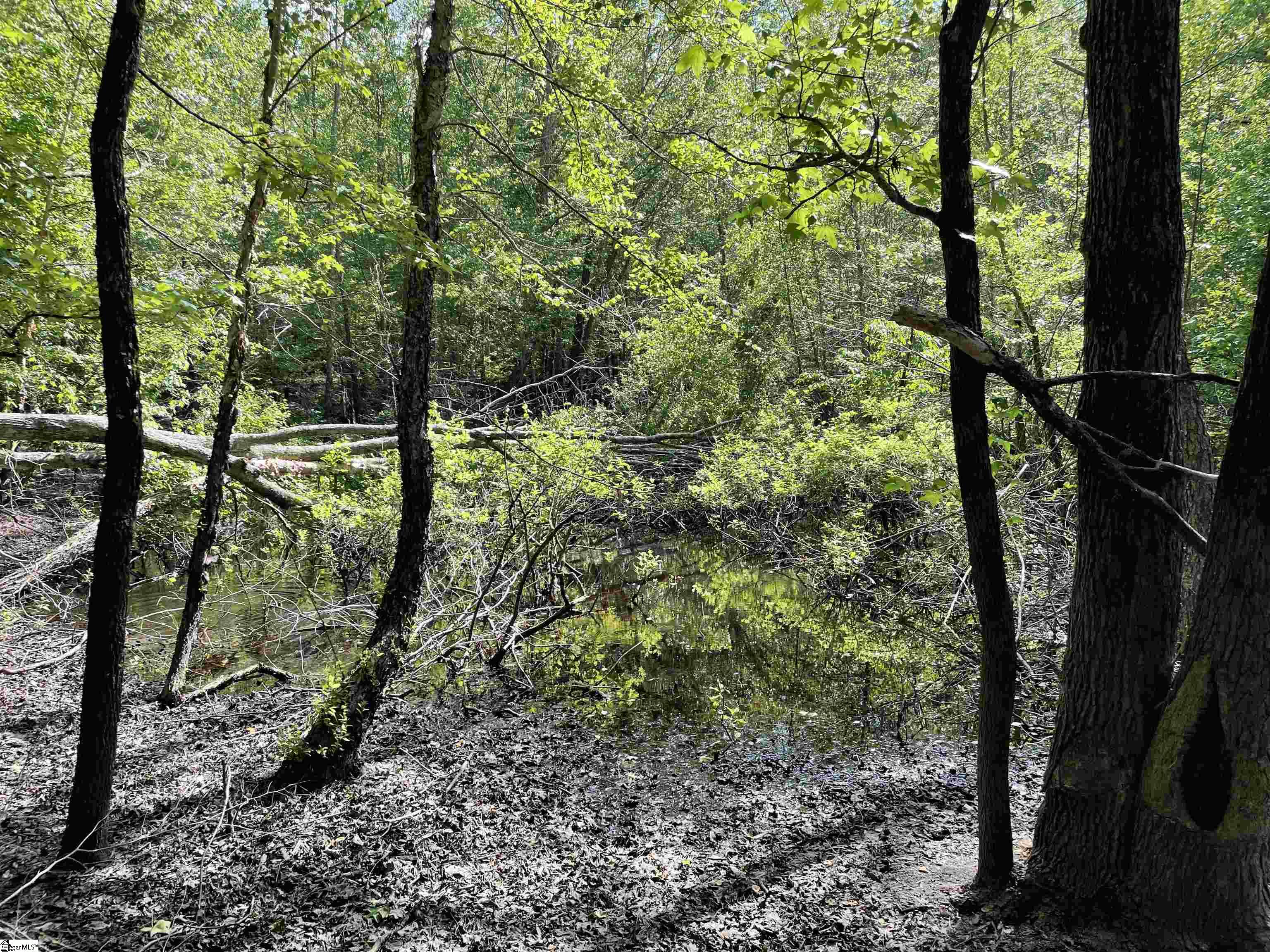 00 Clatworthy, Honea Path, South Carolina image 10