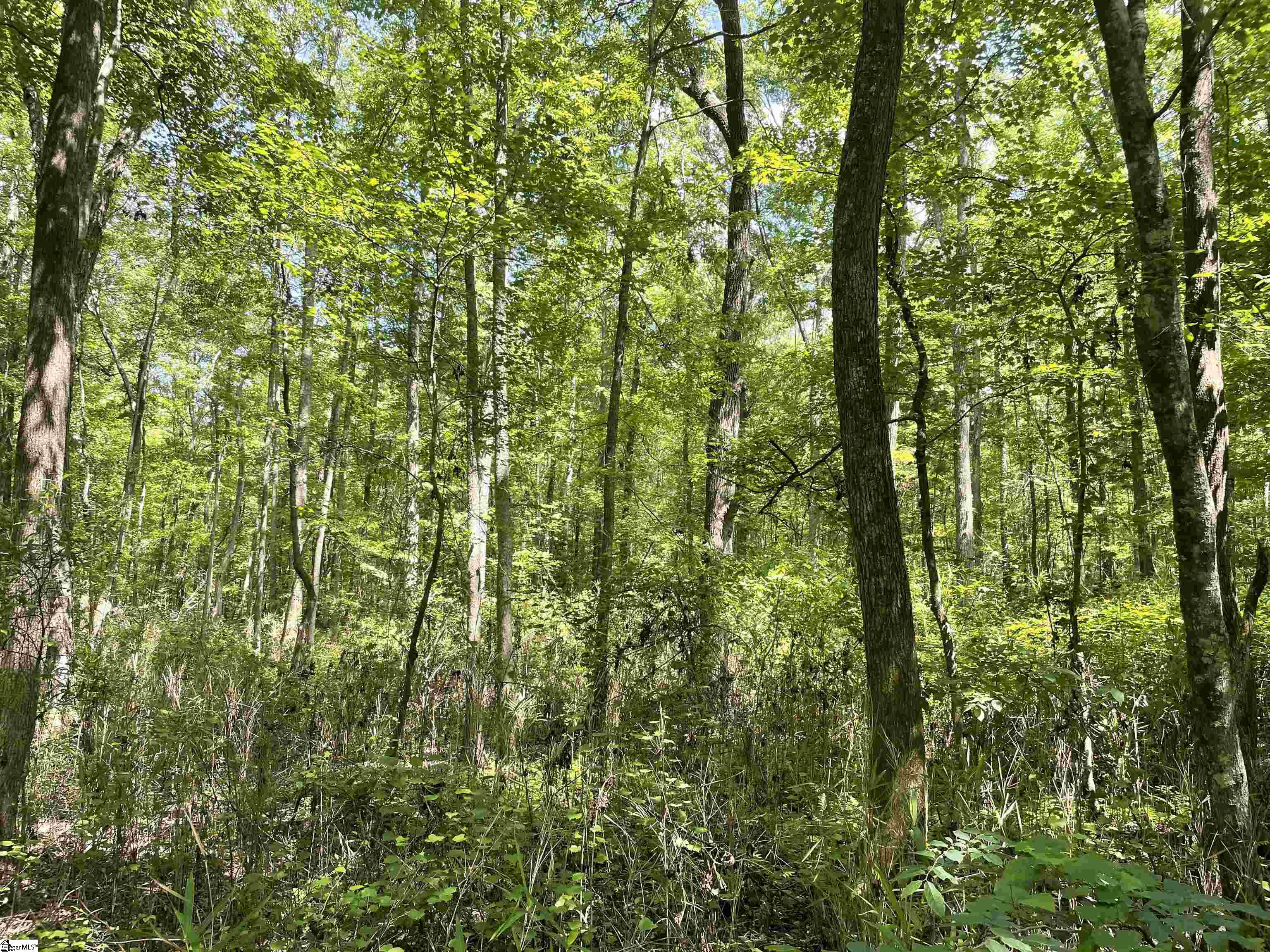 00 Clatworthy, Honea Path, South Carolina image 12