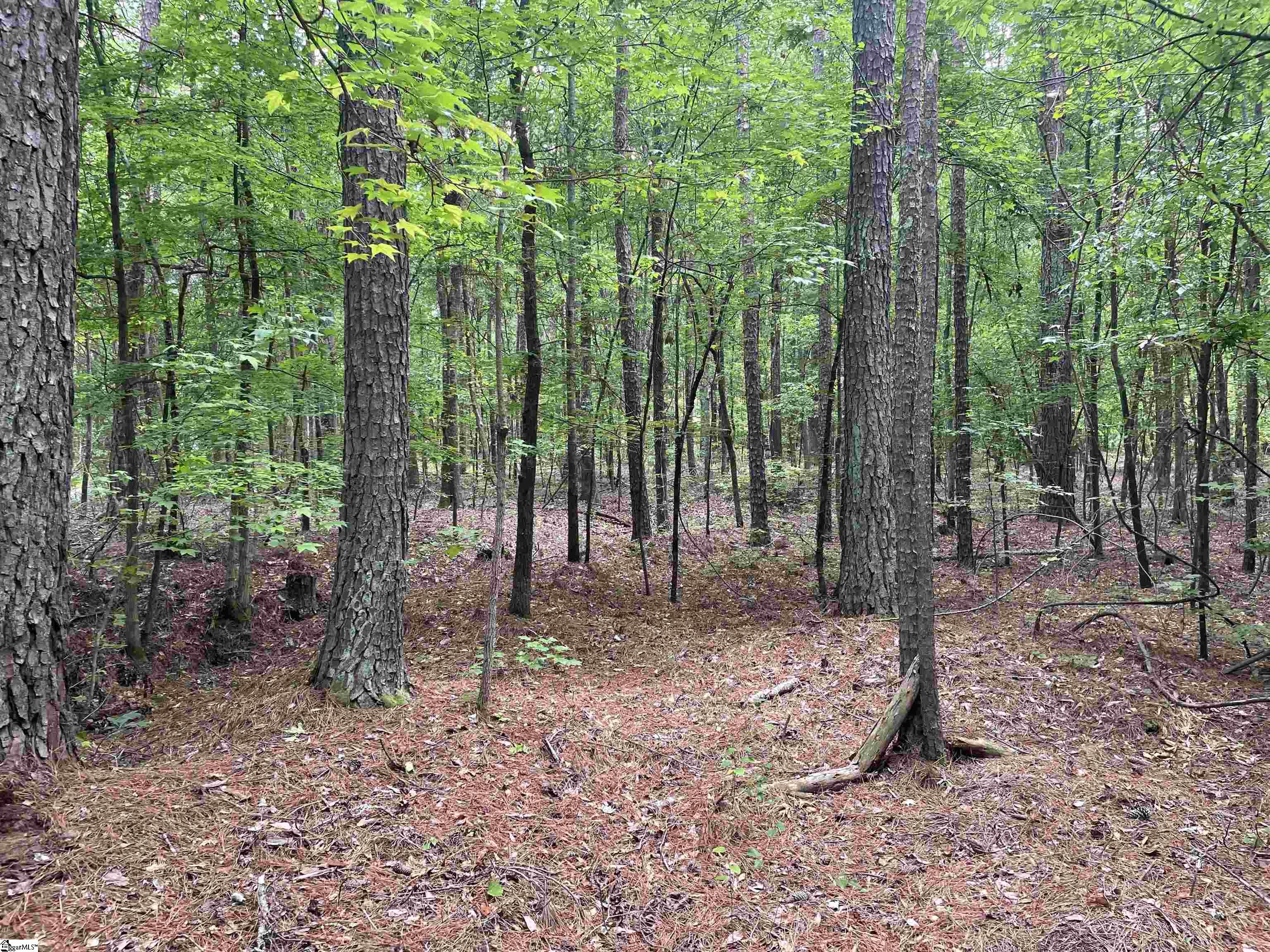 00 Clatworthy, Honea Path, South Carolina image 2