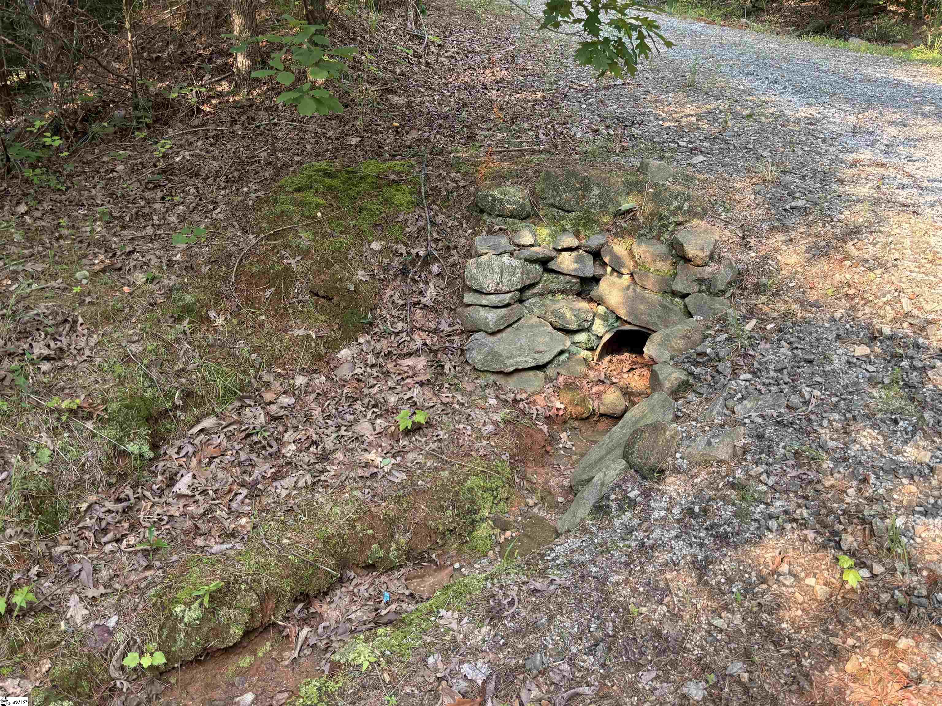 201 Gibson, Easley, South Carolina image 10