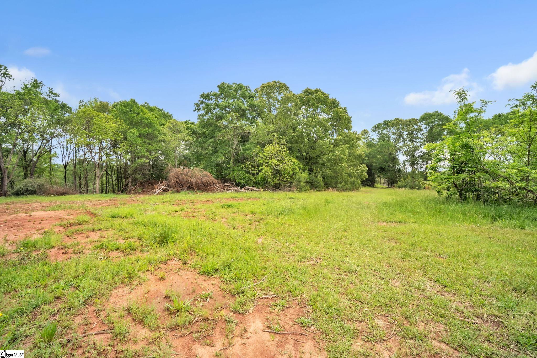 207 Starnes, Laurens, South Carolina image 31