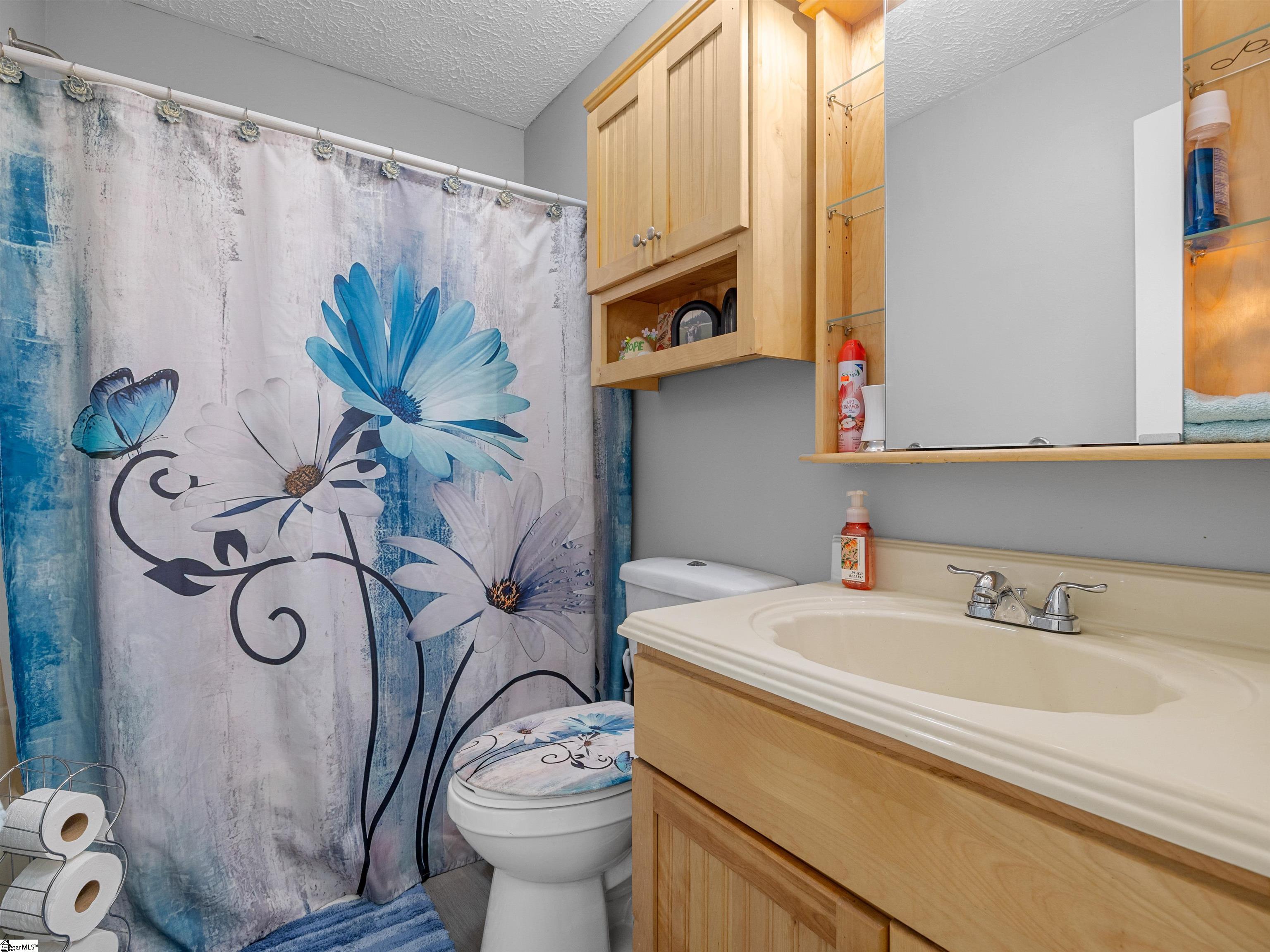 2839 Mount Lebanon, Campobello, South Carolina image 23