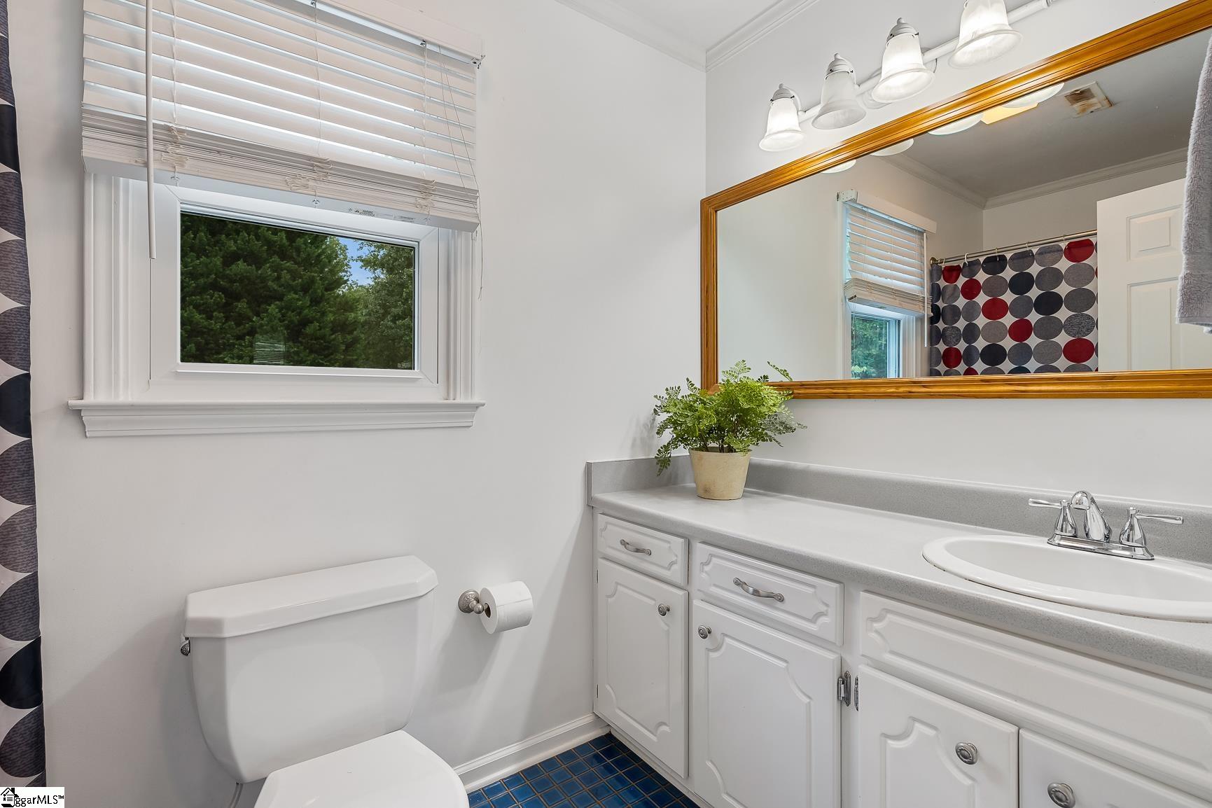 101 Long View, Pickens, South Carolina image 32