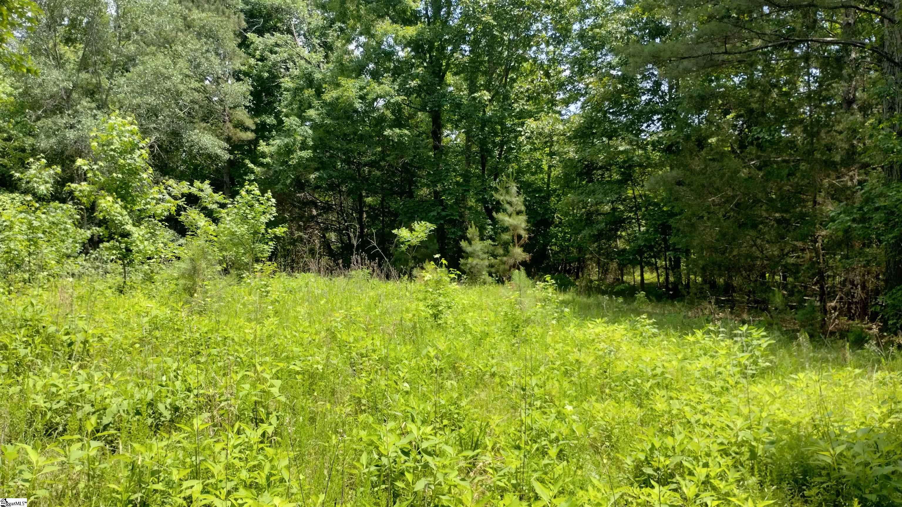 00 Fort Lindley, Laurens, South Carolina image 5
