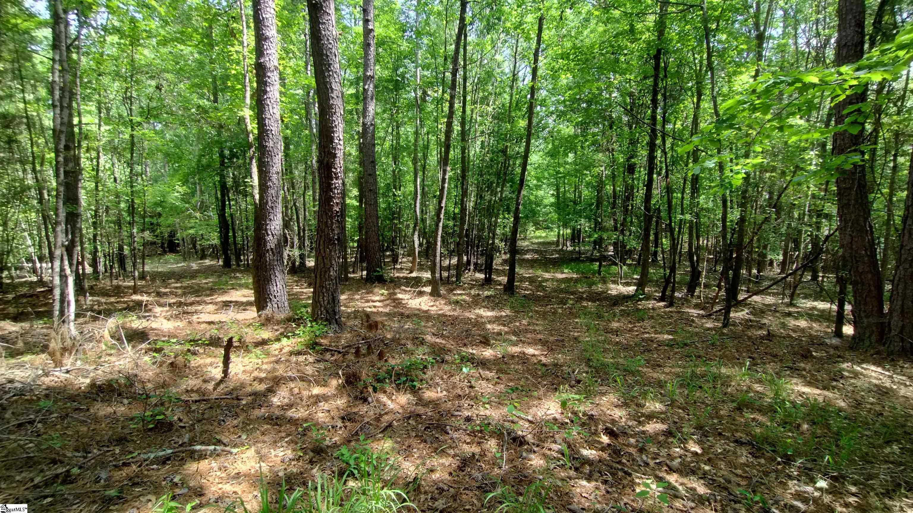 00 Fort Lindley, Laurens, South Carolina image 6