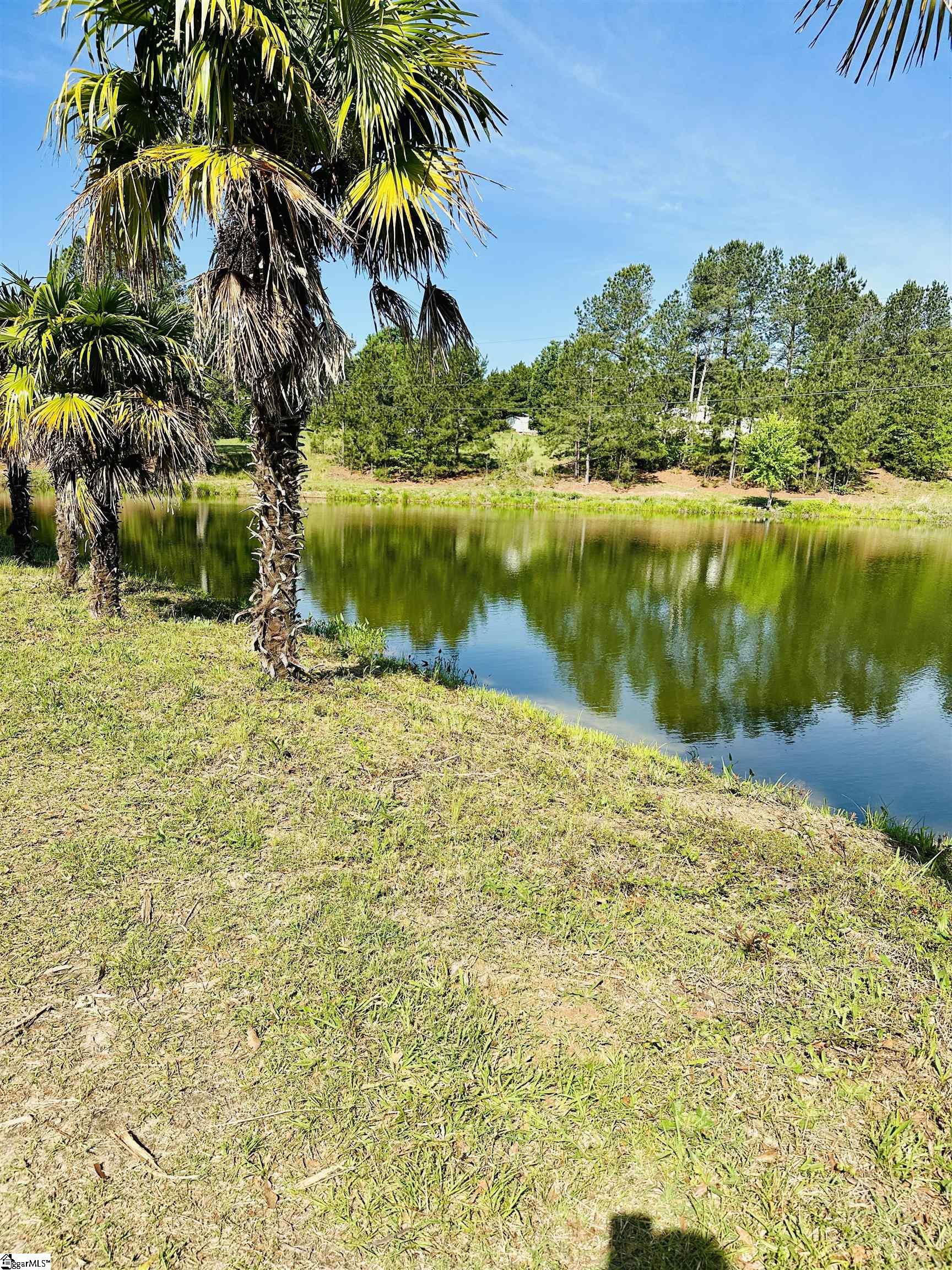 206 Bull Hill, Gray Court, South Carolina image 14