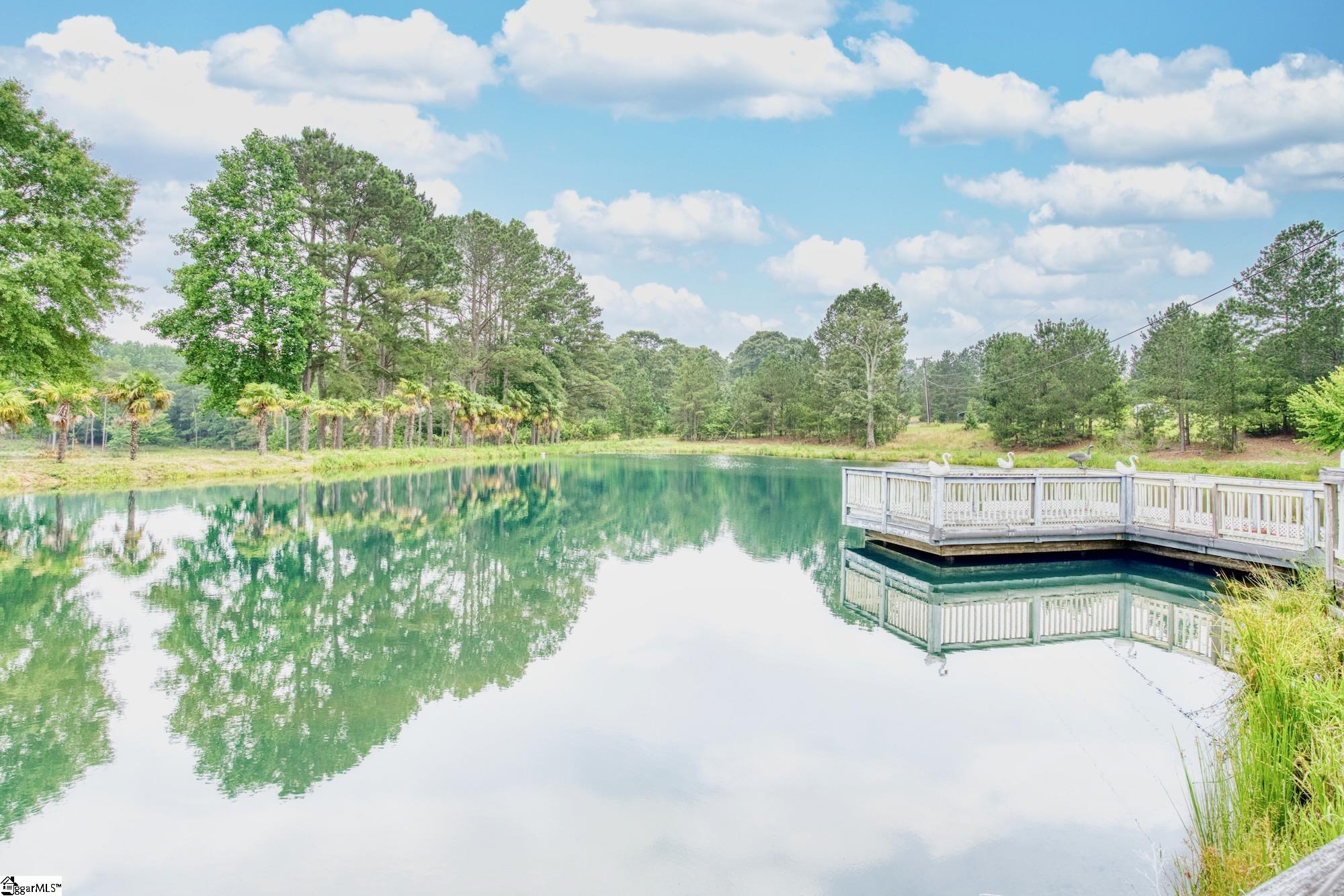 206 Bull Hill, Gray Court, South Carolina image 44