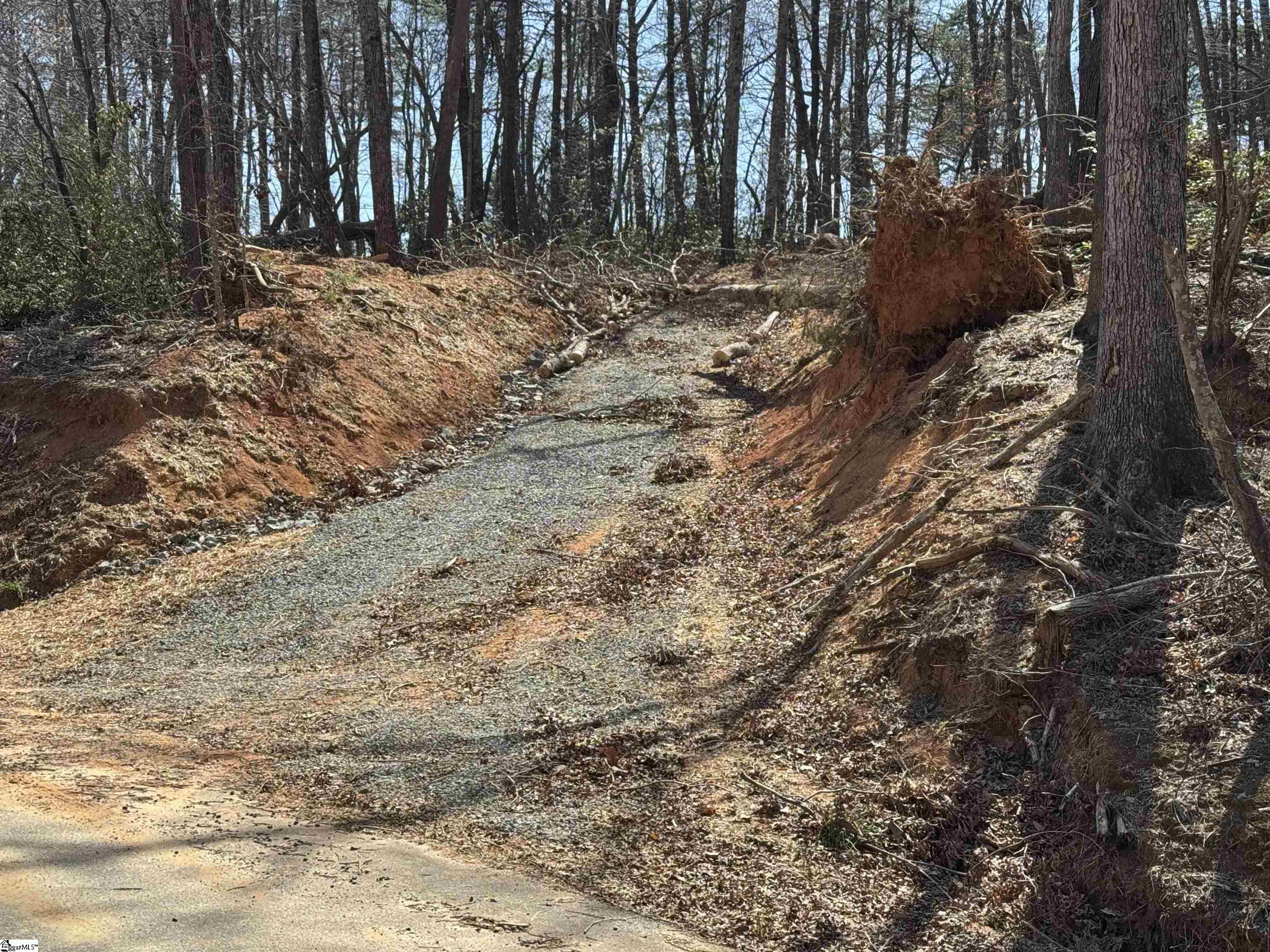 000 Goforth, Landrum, South Carolina image 3