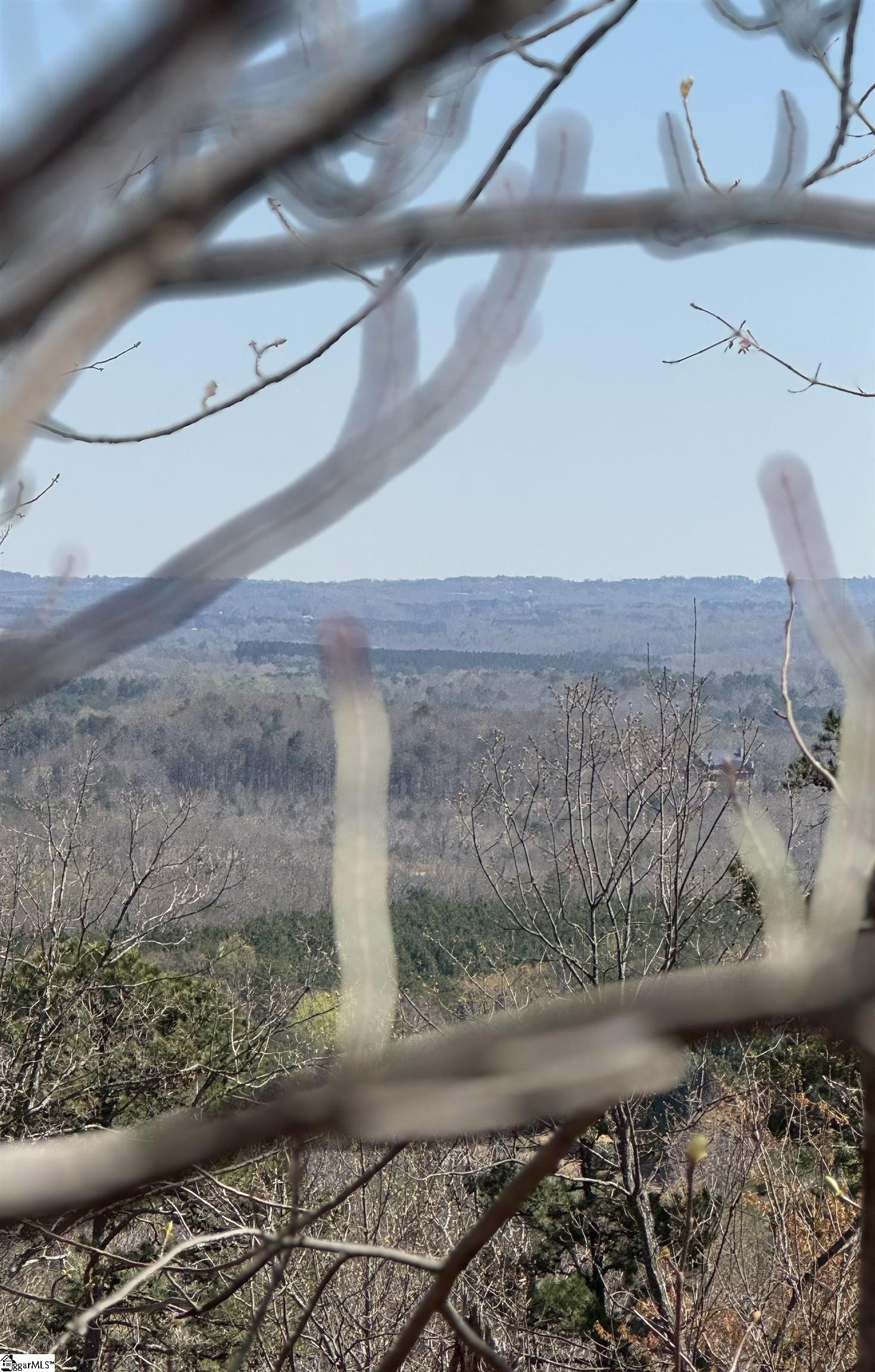 000 Goforth, Landrum, South Carolina image 7