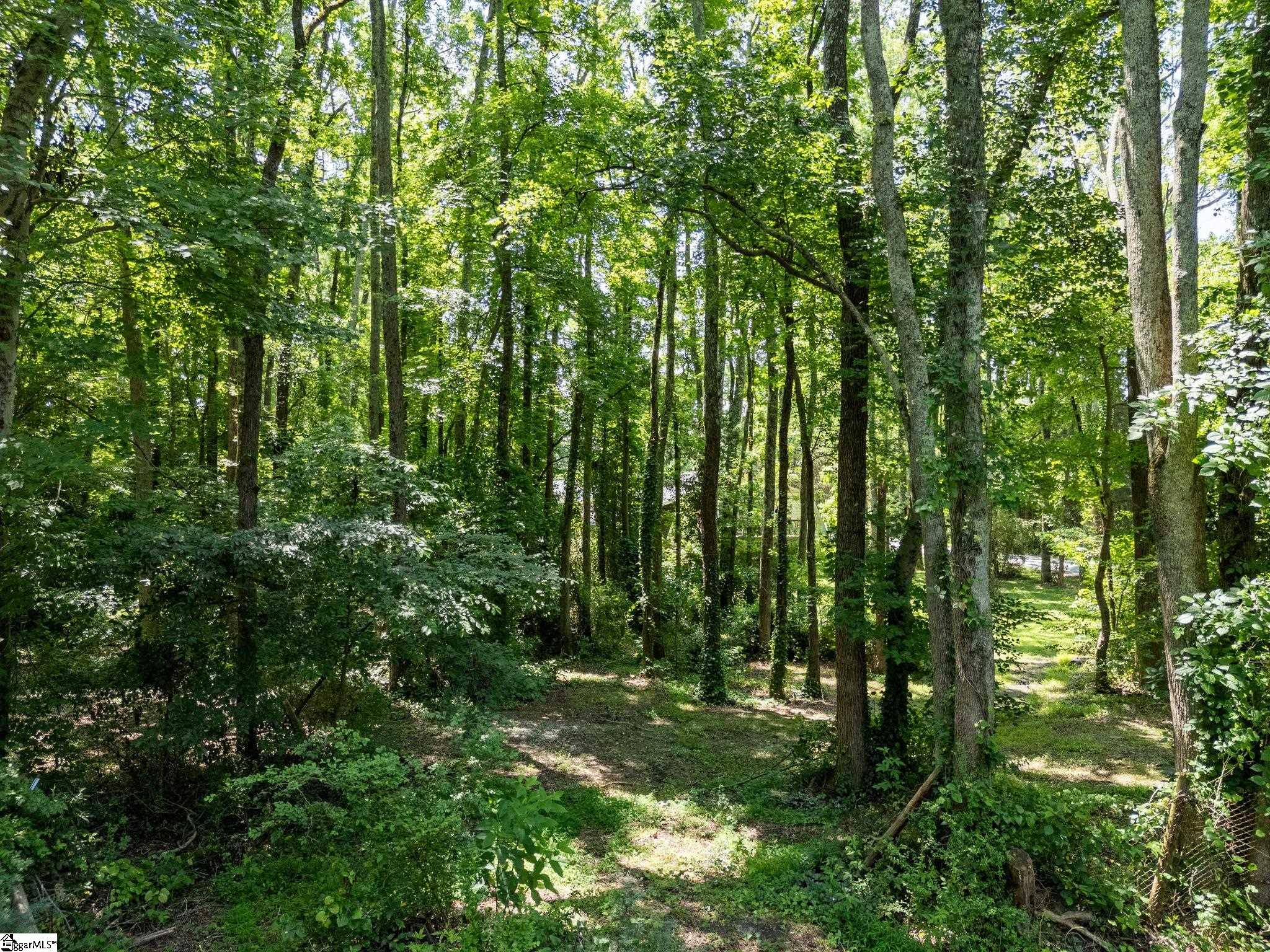 102 Greenapple, Simpsonville, South Carolina image 25