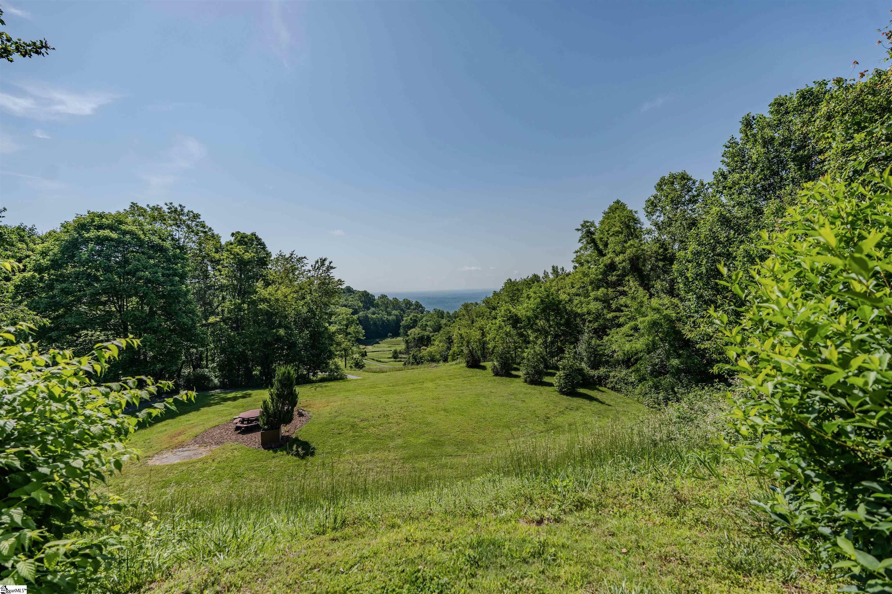 33 Raptor, Landrum, South Carolina image 13
