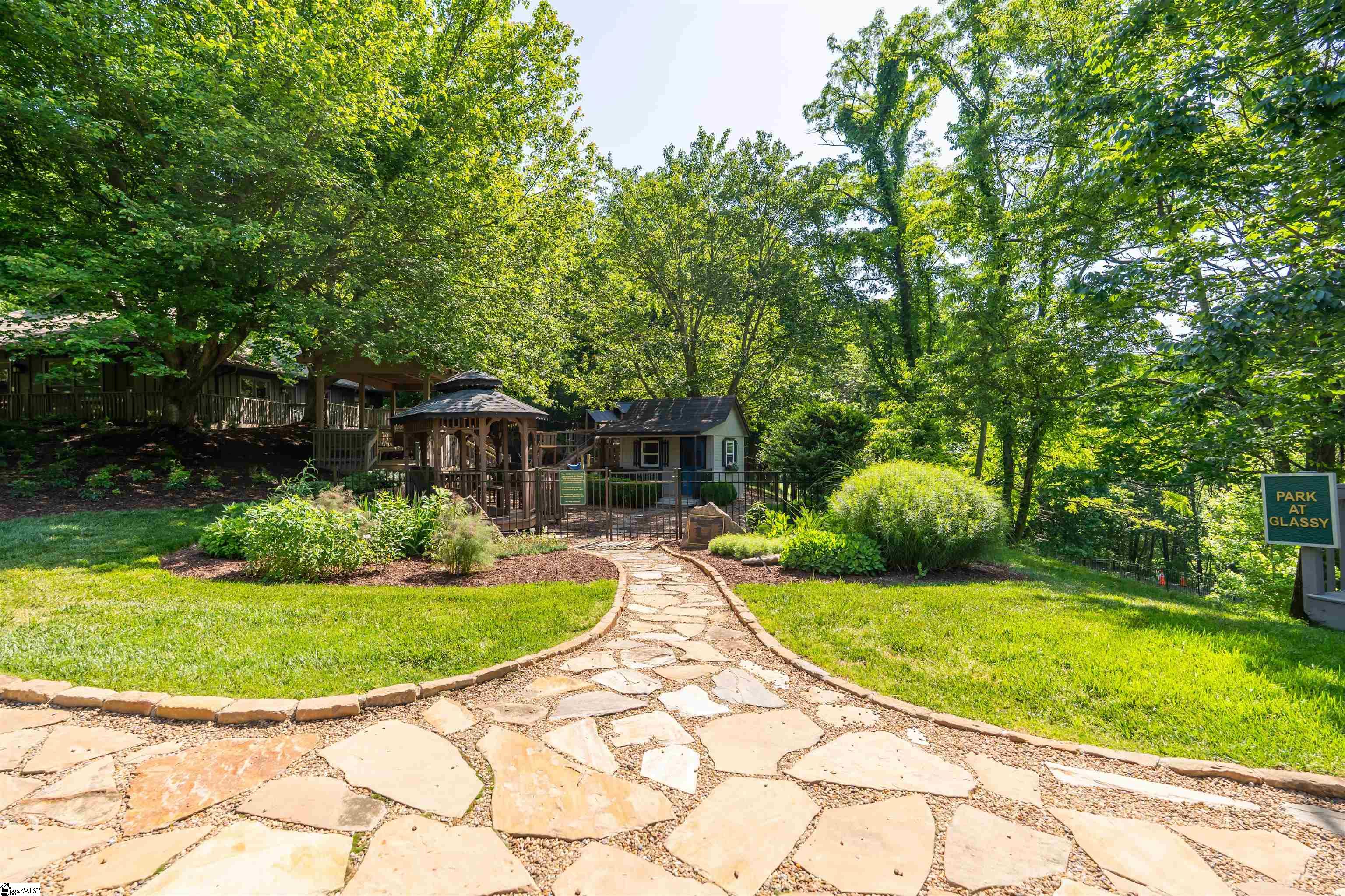 33 Raptor, Landrum, South Carolina image 15