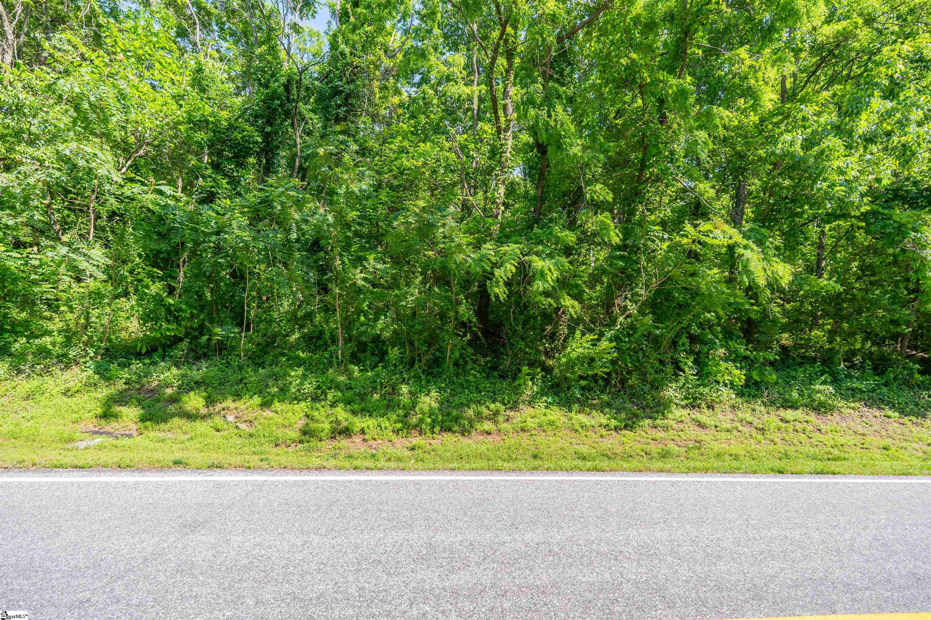 33 Raptor, Landrum, South Carolina image 8