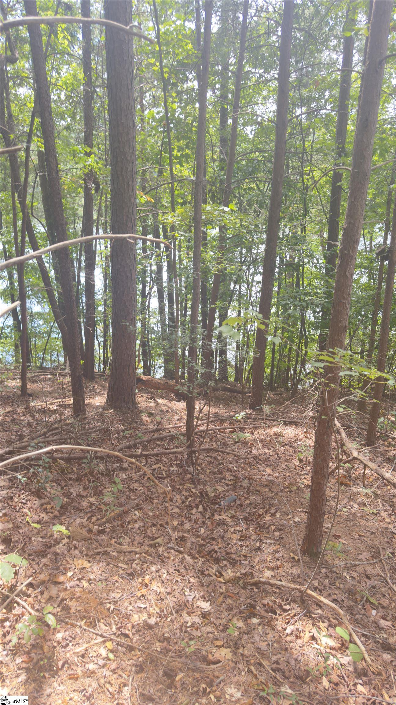 162 Stoneridge, Chesnee, South Carolina image 13