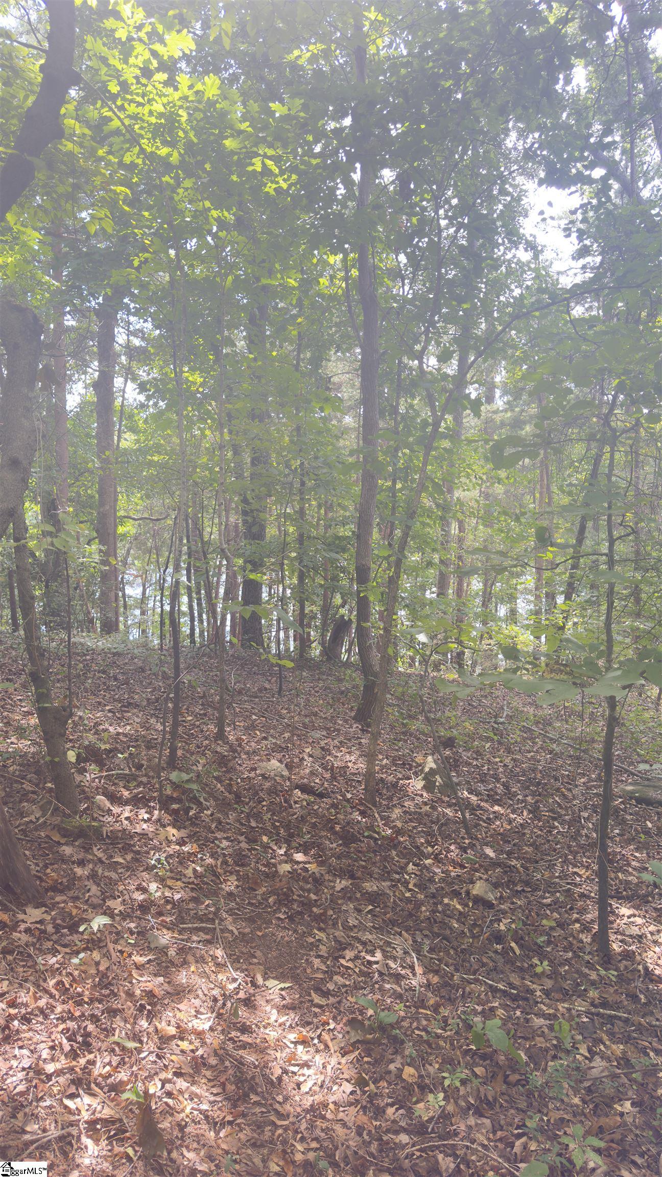 162 Stoneridge, Chesnee, South Carolina image 22