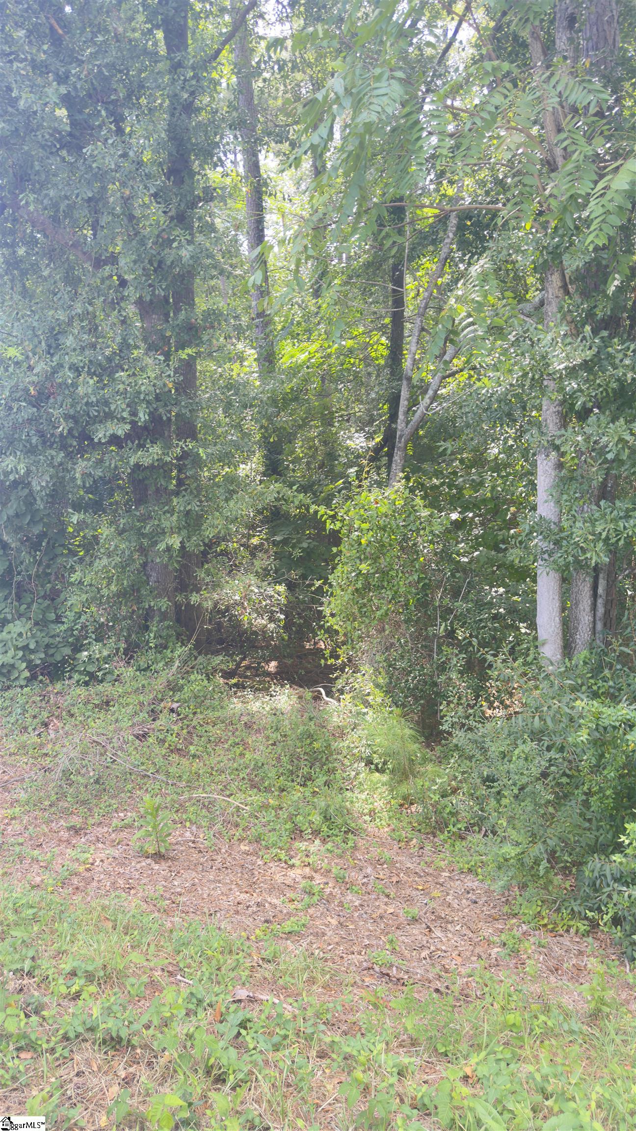 162 Stoneridge, Chesnee, South Carolina image 7