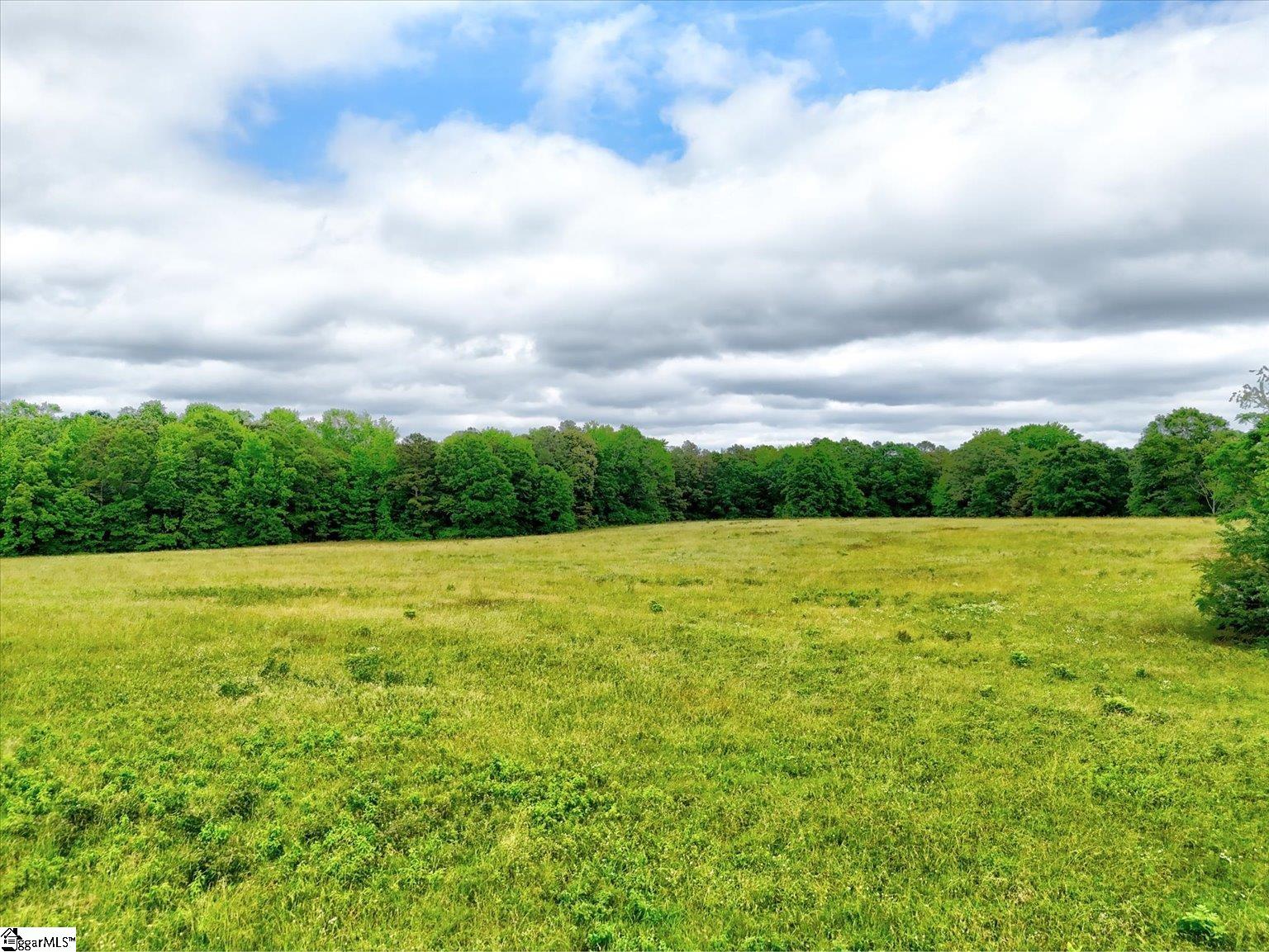 1411 Trail, Belton, South Carolina image 36
