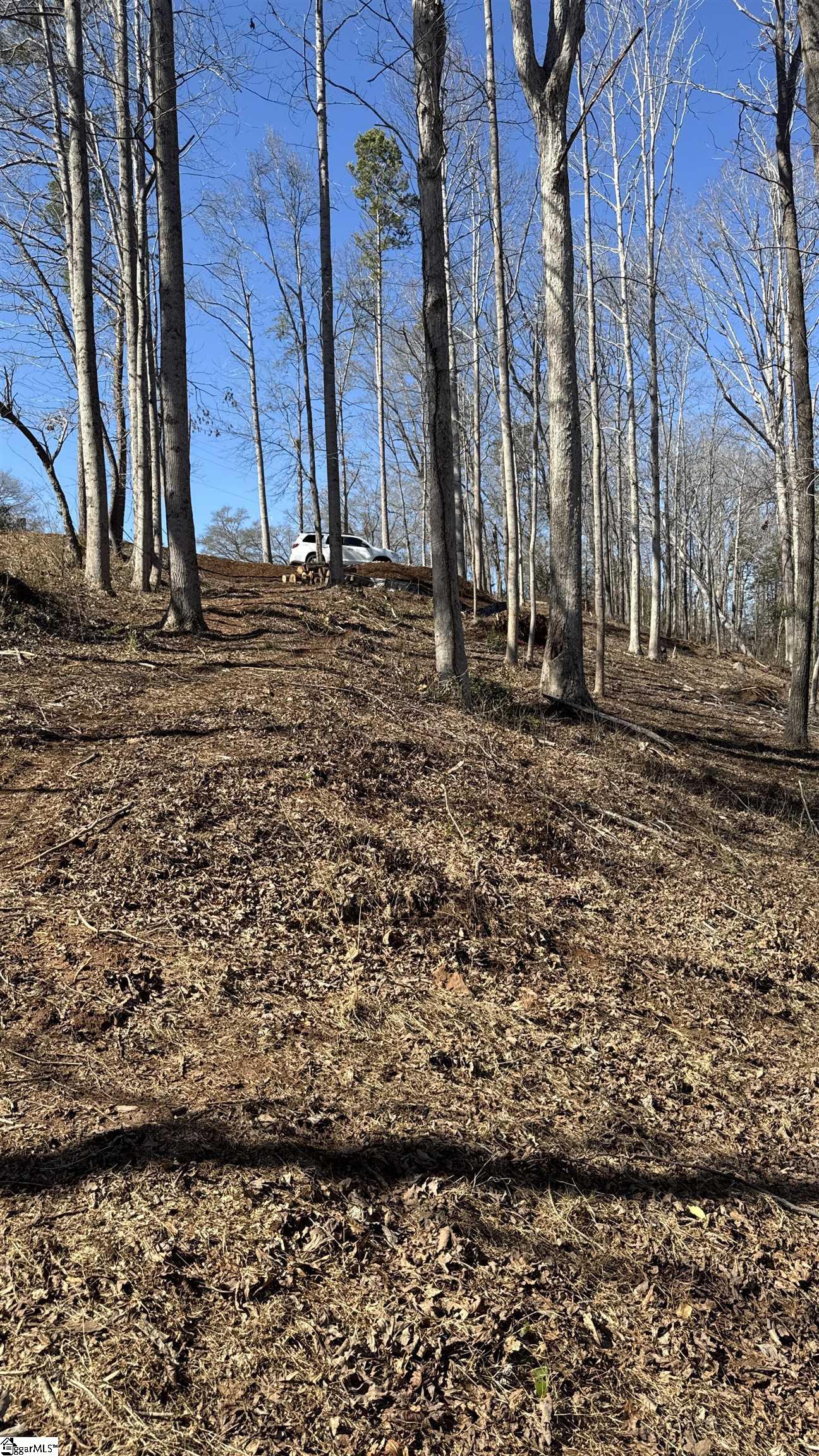 712 Buck Creek, Chesnee, South Carolina image 13