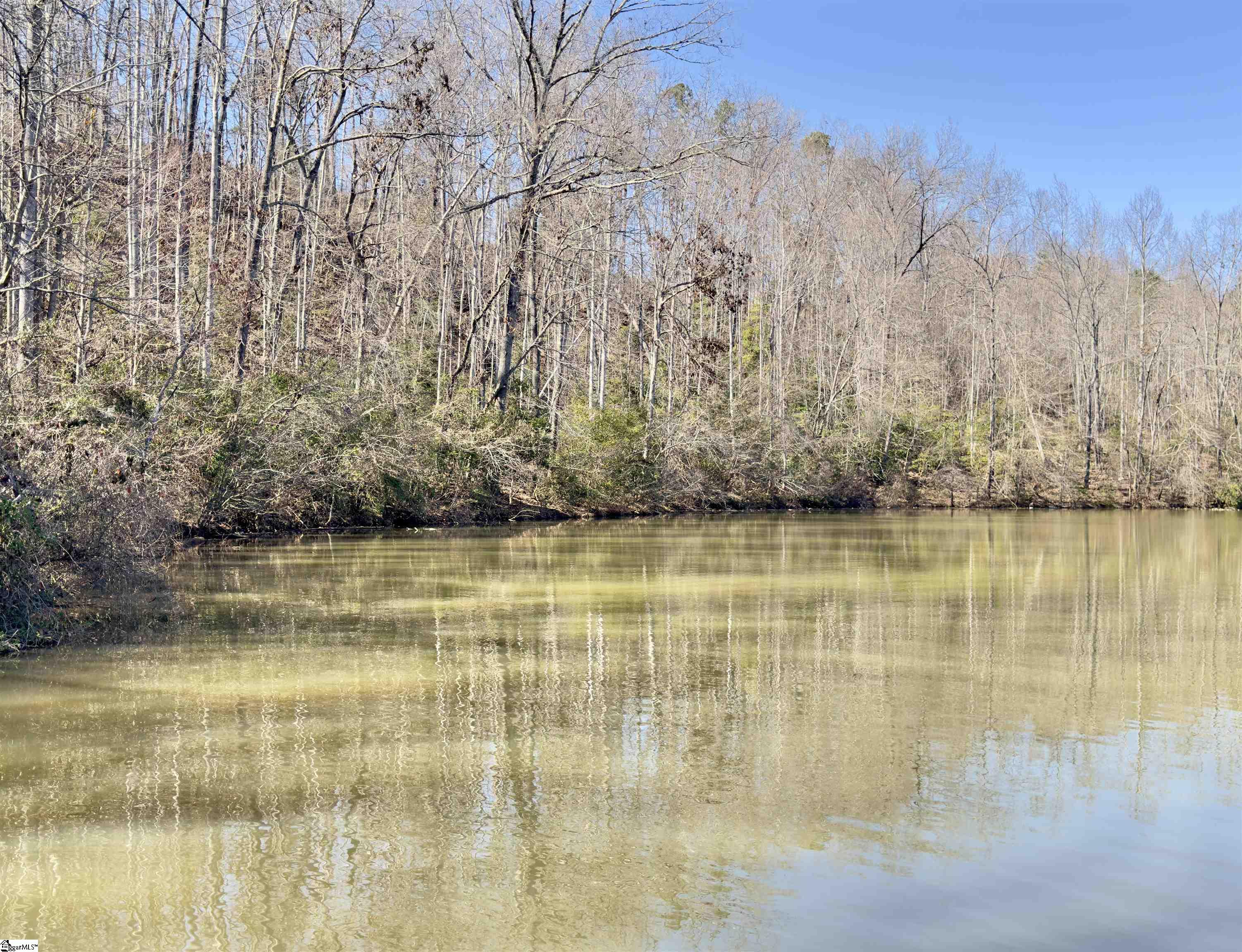 712 Buck Creek, Chesnee, South Carolina image 20