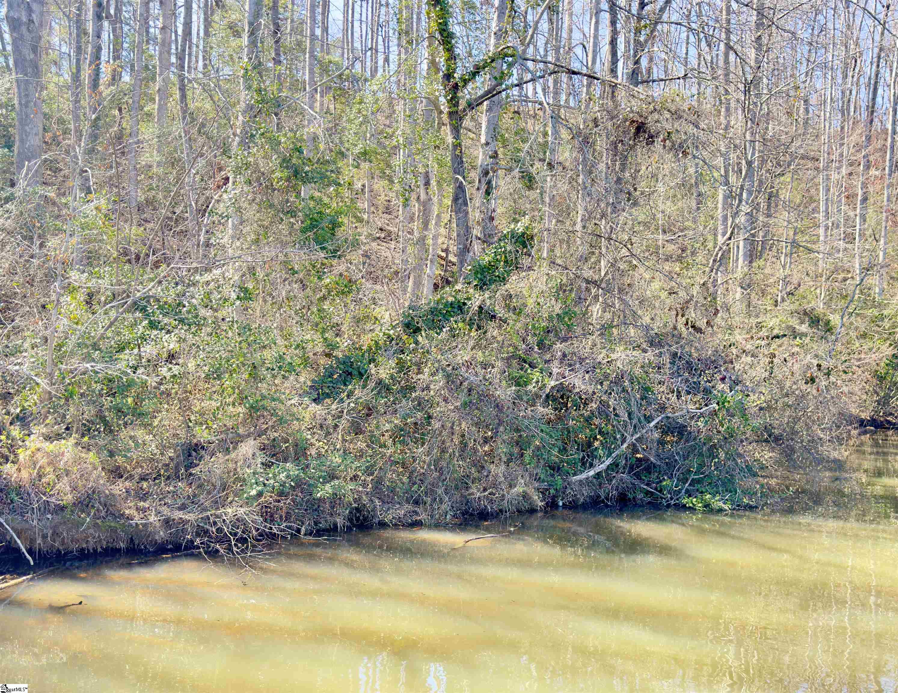 712 Buck Creek, Chesnee, South Carolina image 21