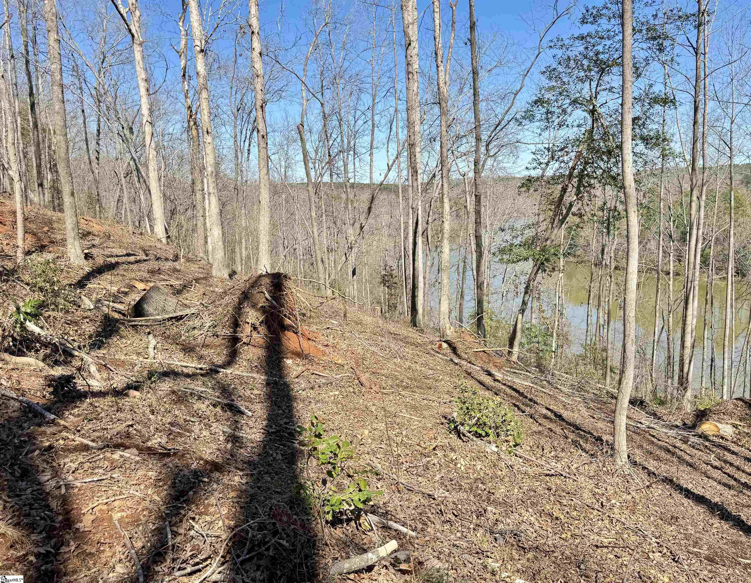 712 Buck Creek, Chesnee, South Carolina image 22