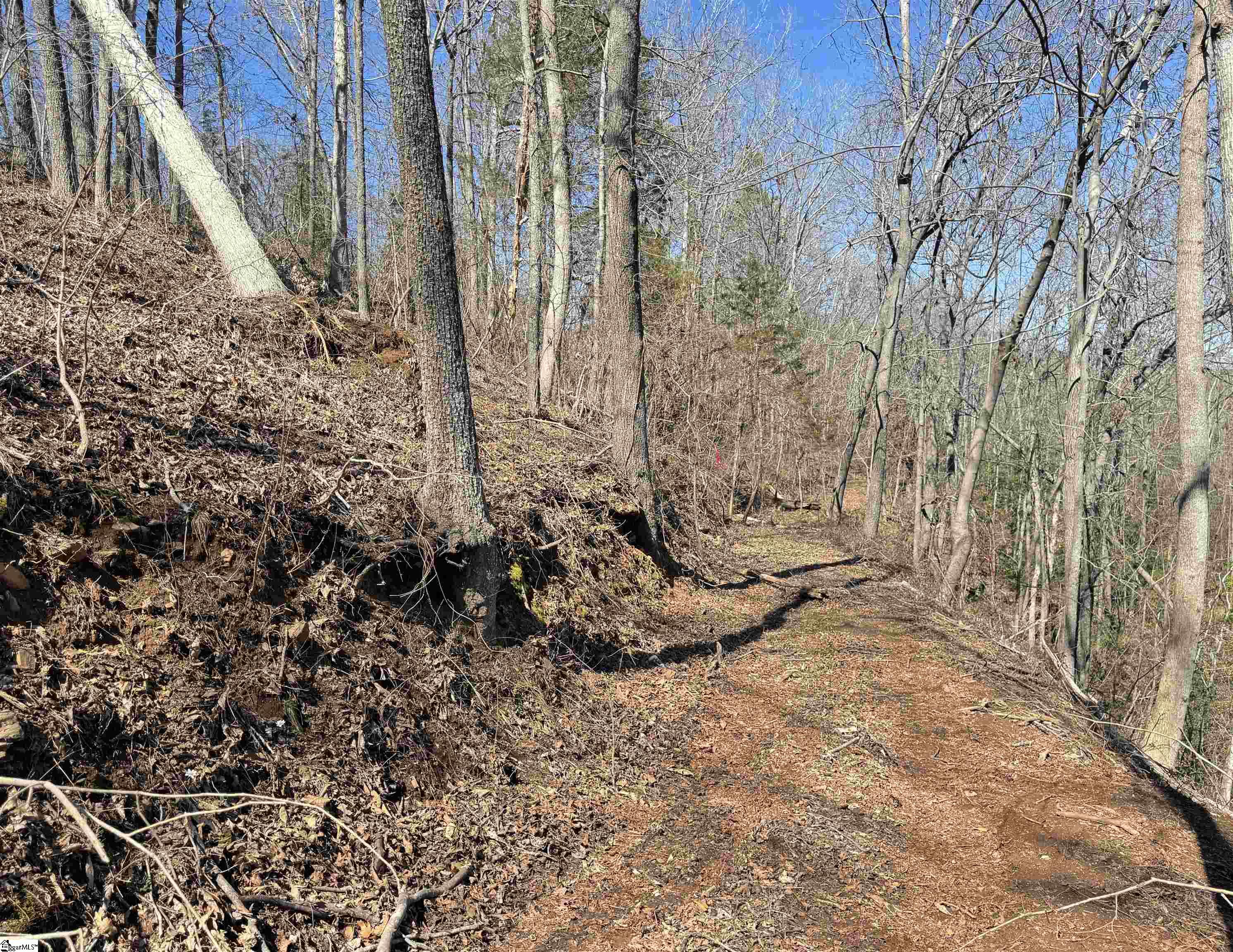 712 Buck Creek, Chesnee, South Carolina image 23