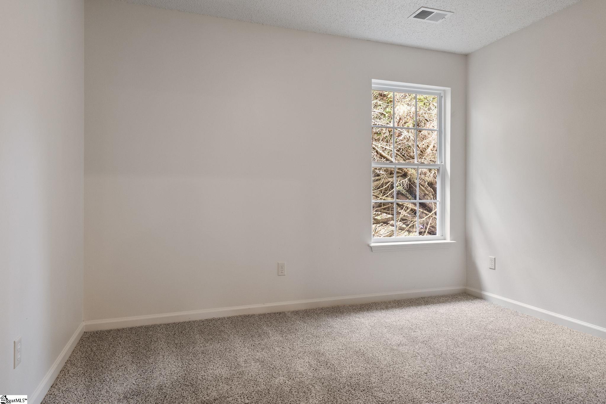 310 W Bushy Hill, Duncan, South Carolina image 19
