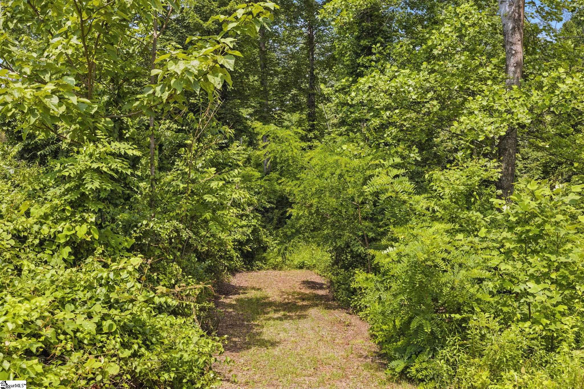 000 Silverglen, Hendersonville, North Carolina image 2