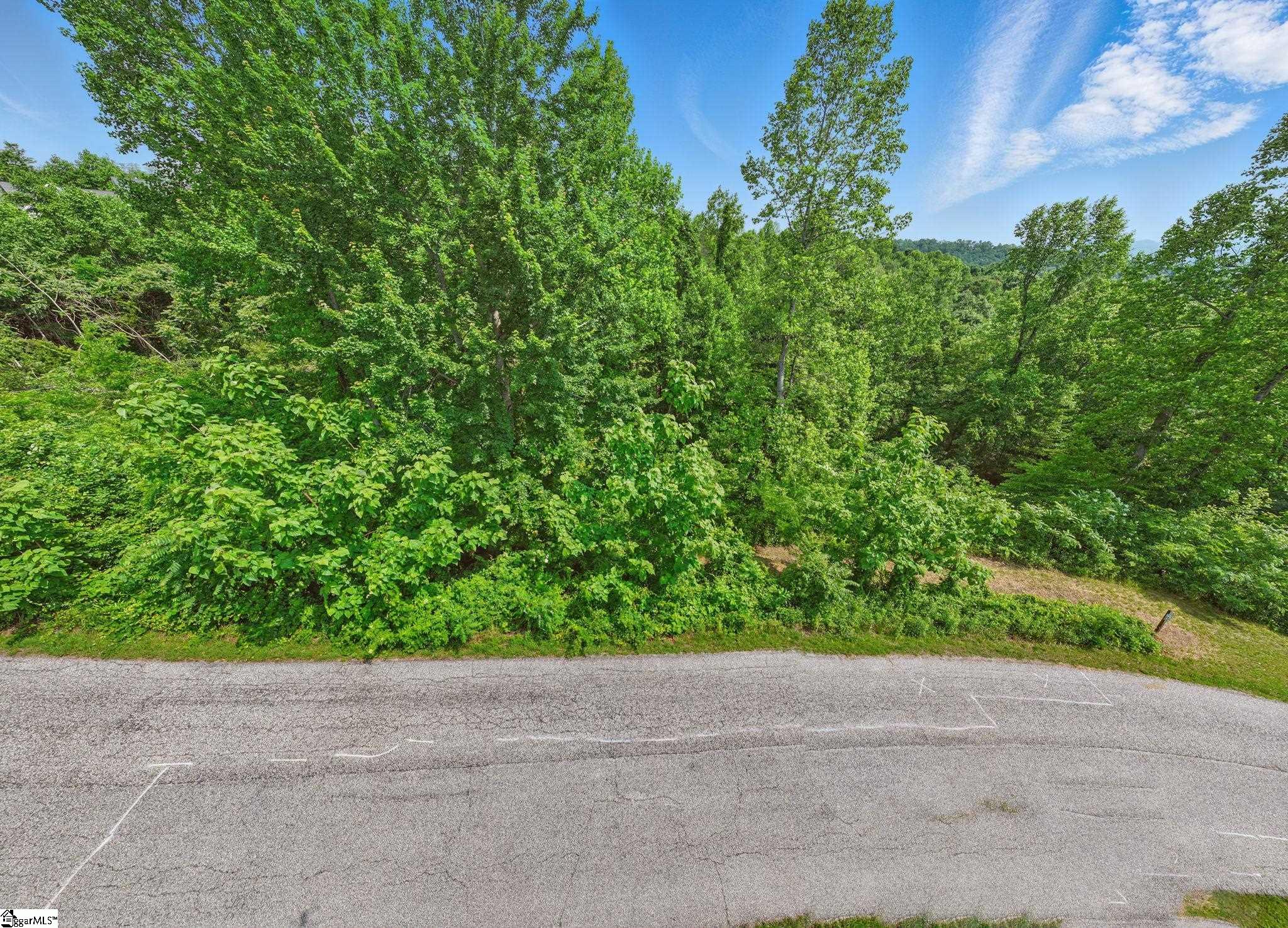 000 Silverglen, Hendersonville, North Carolina image 4
