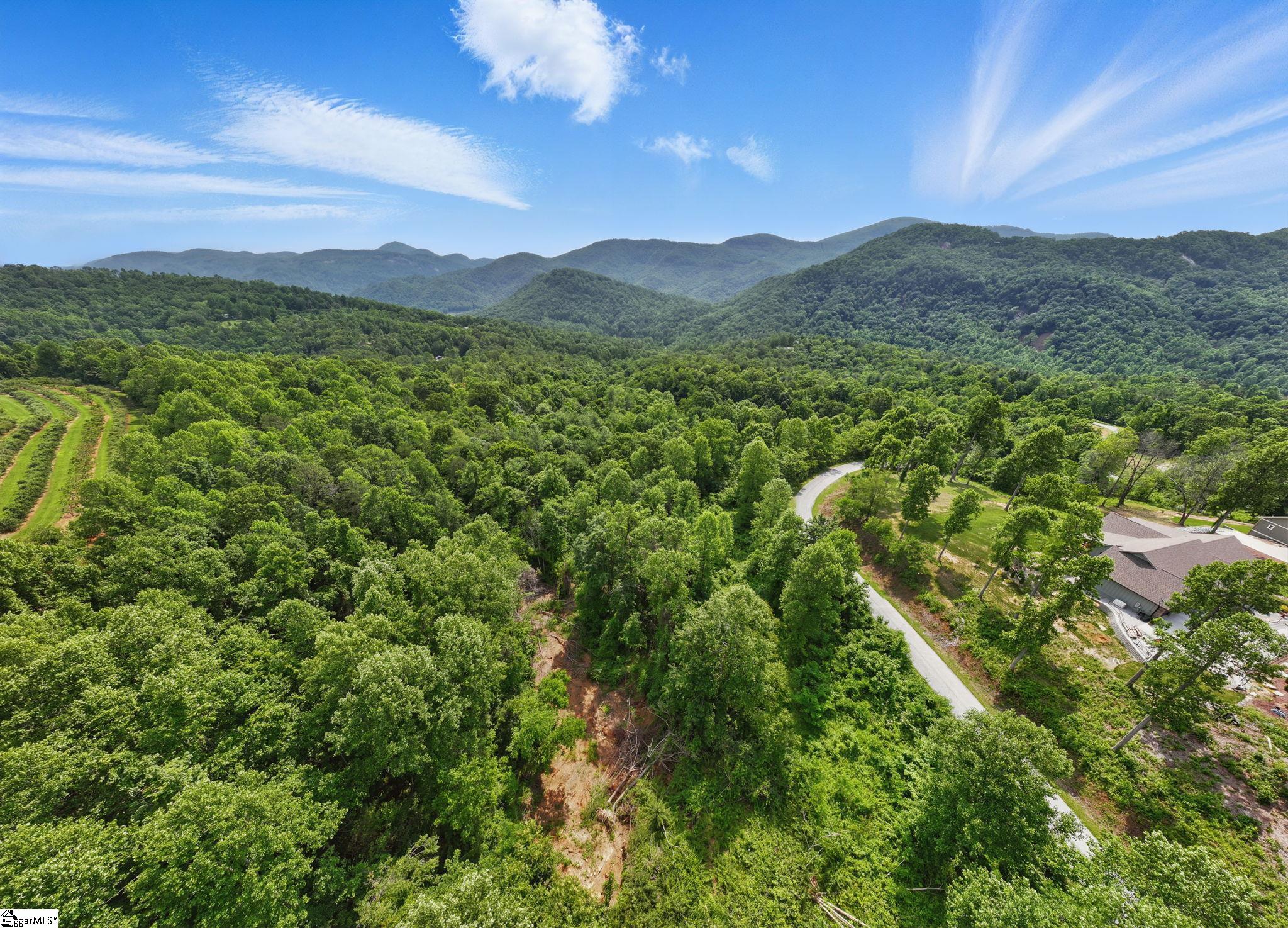 000 Silverglen, Hendersonville, North Carolina image 5