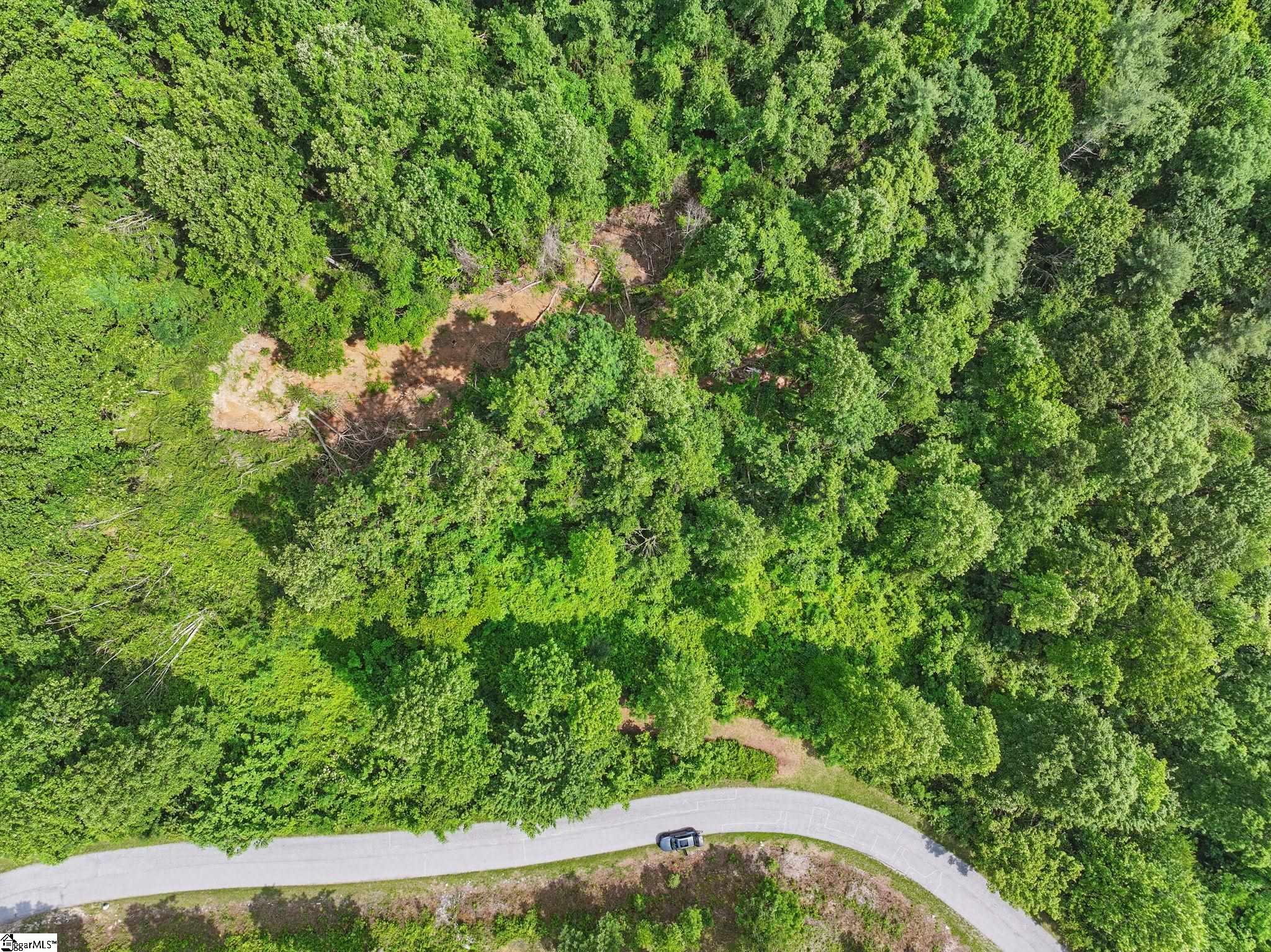 000 Silverglen, Hendersonville, North Carolina image 6
