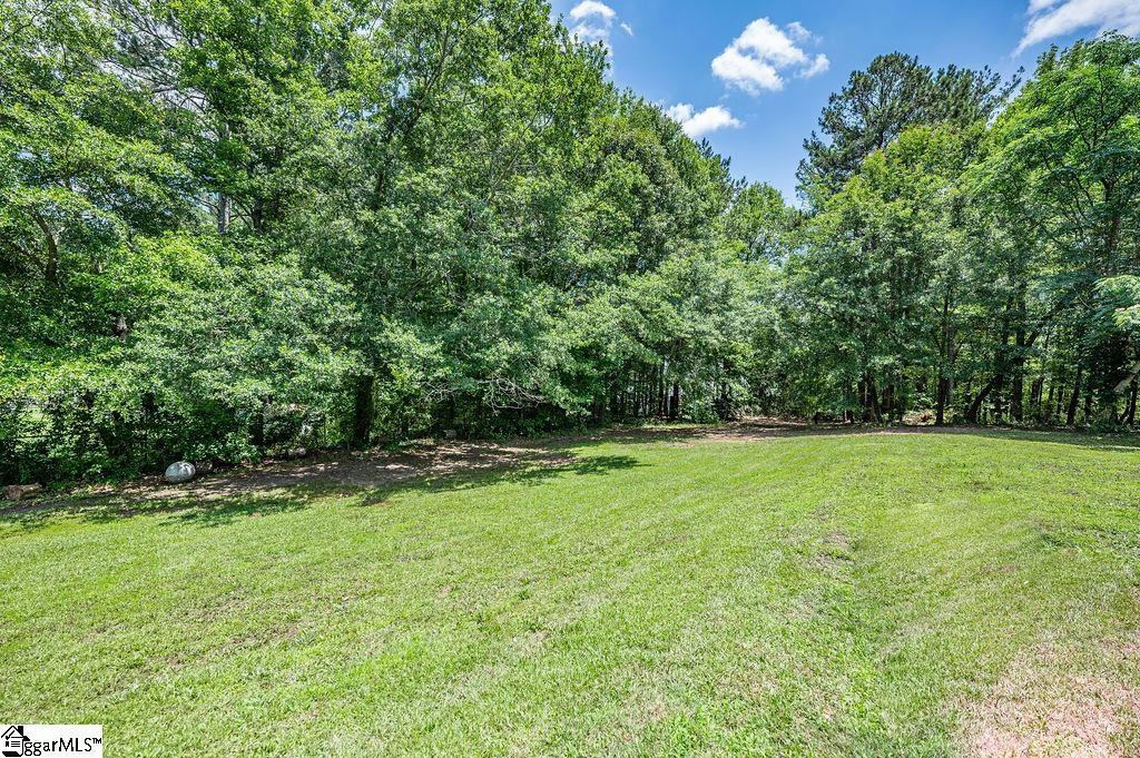 1016 Scott, Anderson, South Carolina image 23