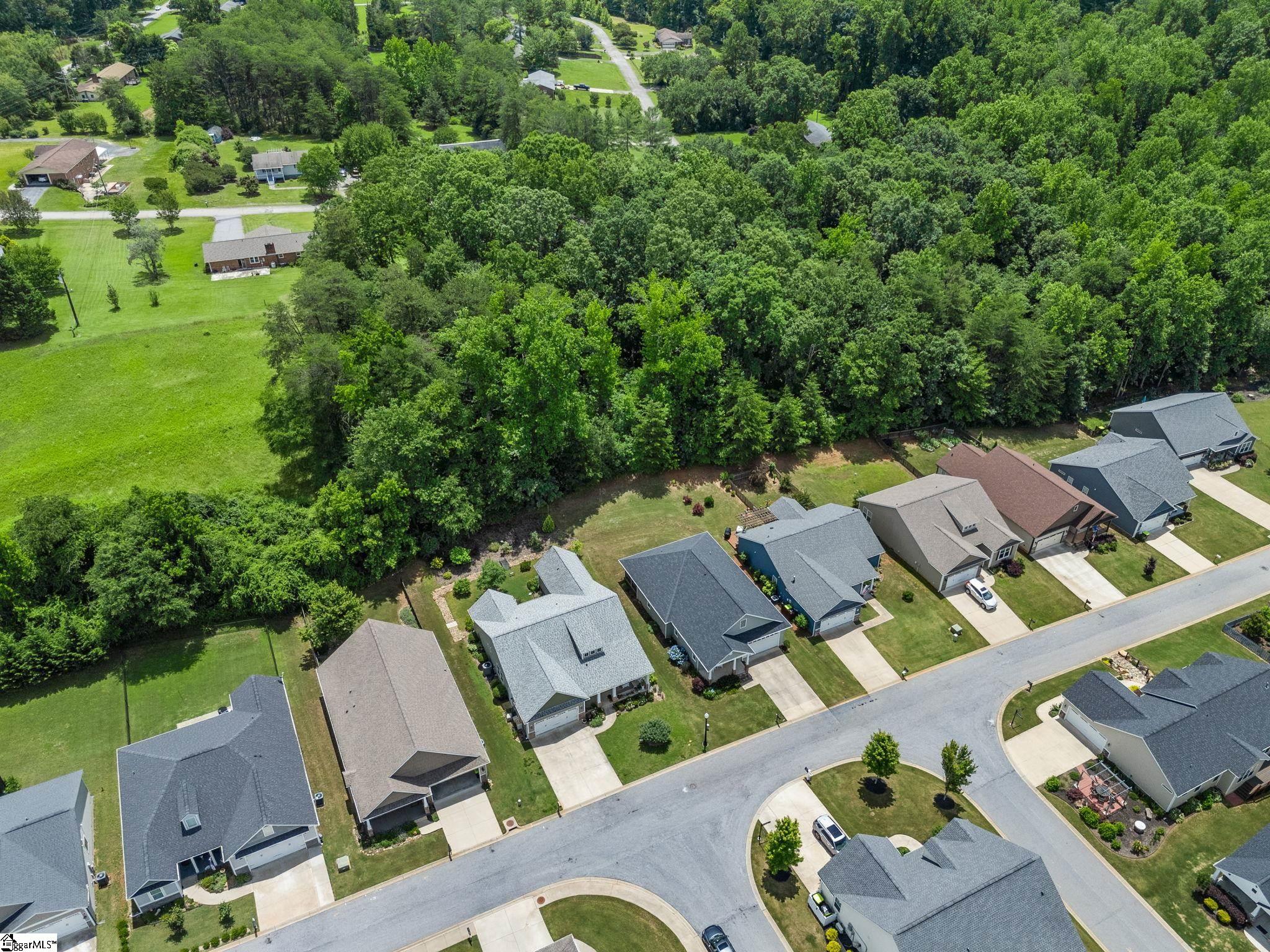 234 Page Creek, Landrum, South Carolina image 37