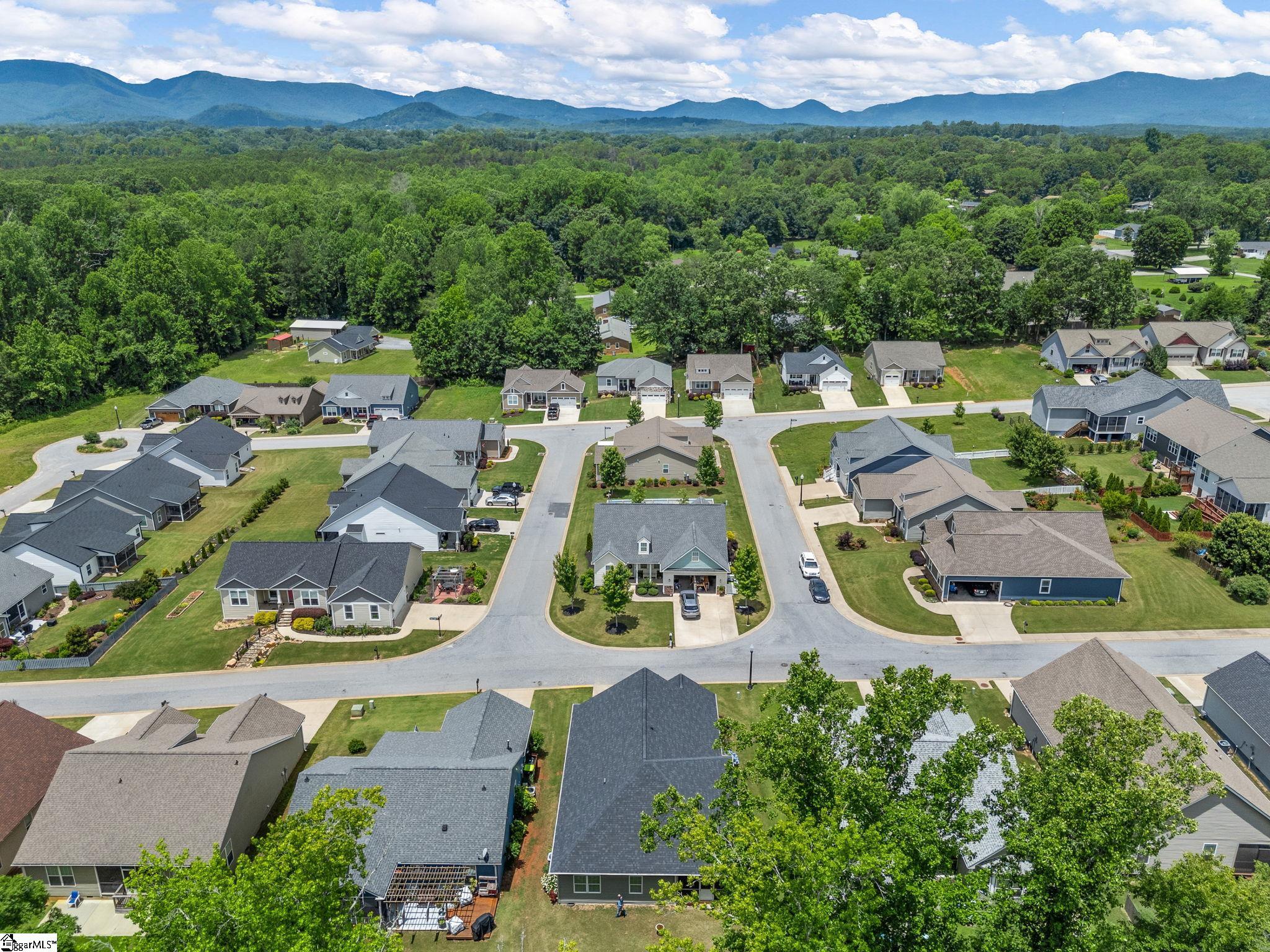 234 Page Creek, Landrum, South Carolina image 38