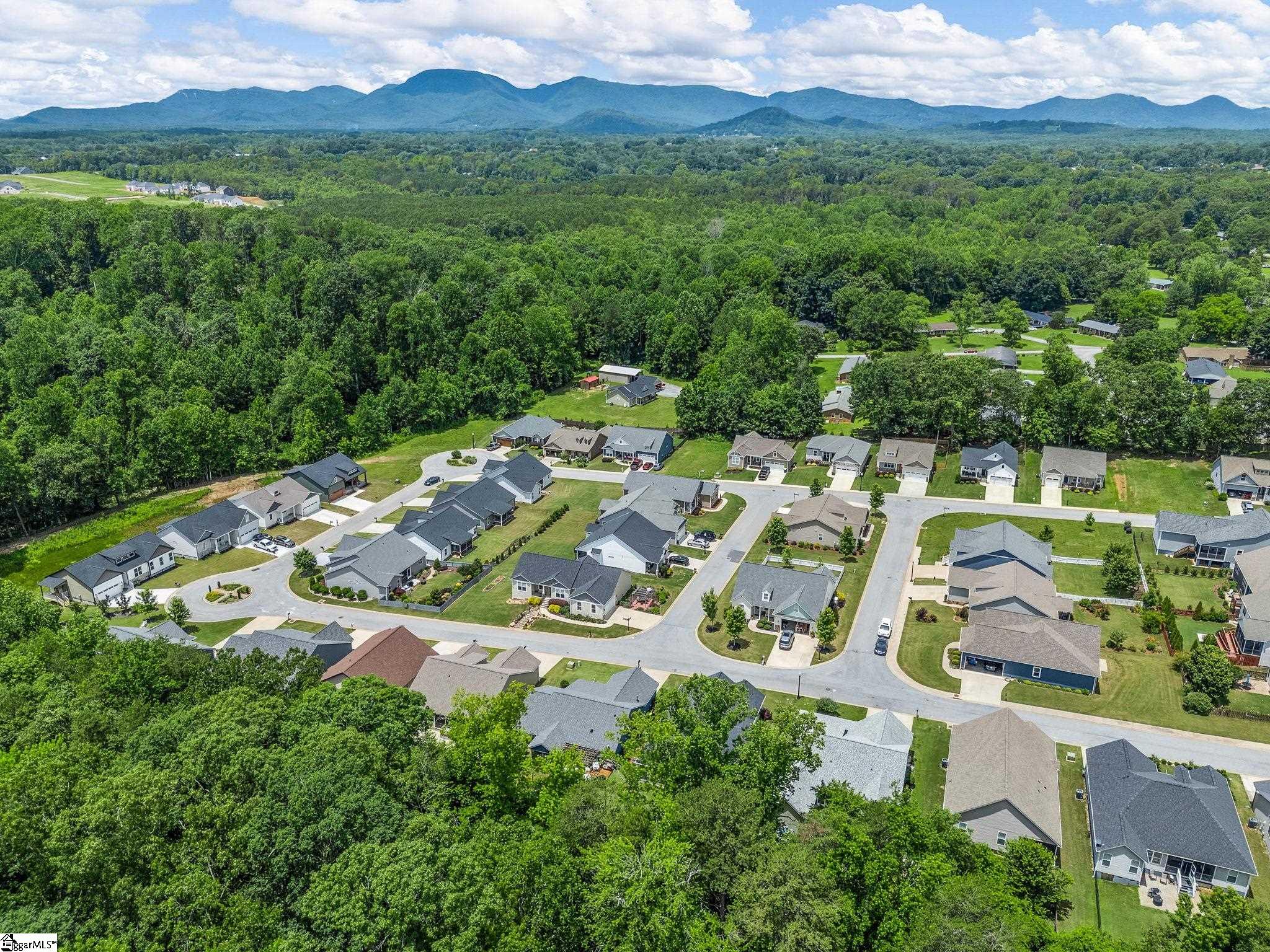 234 Page Creek, Landrum, South Carolina image 39