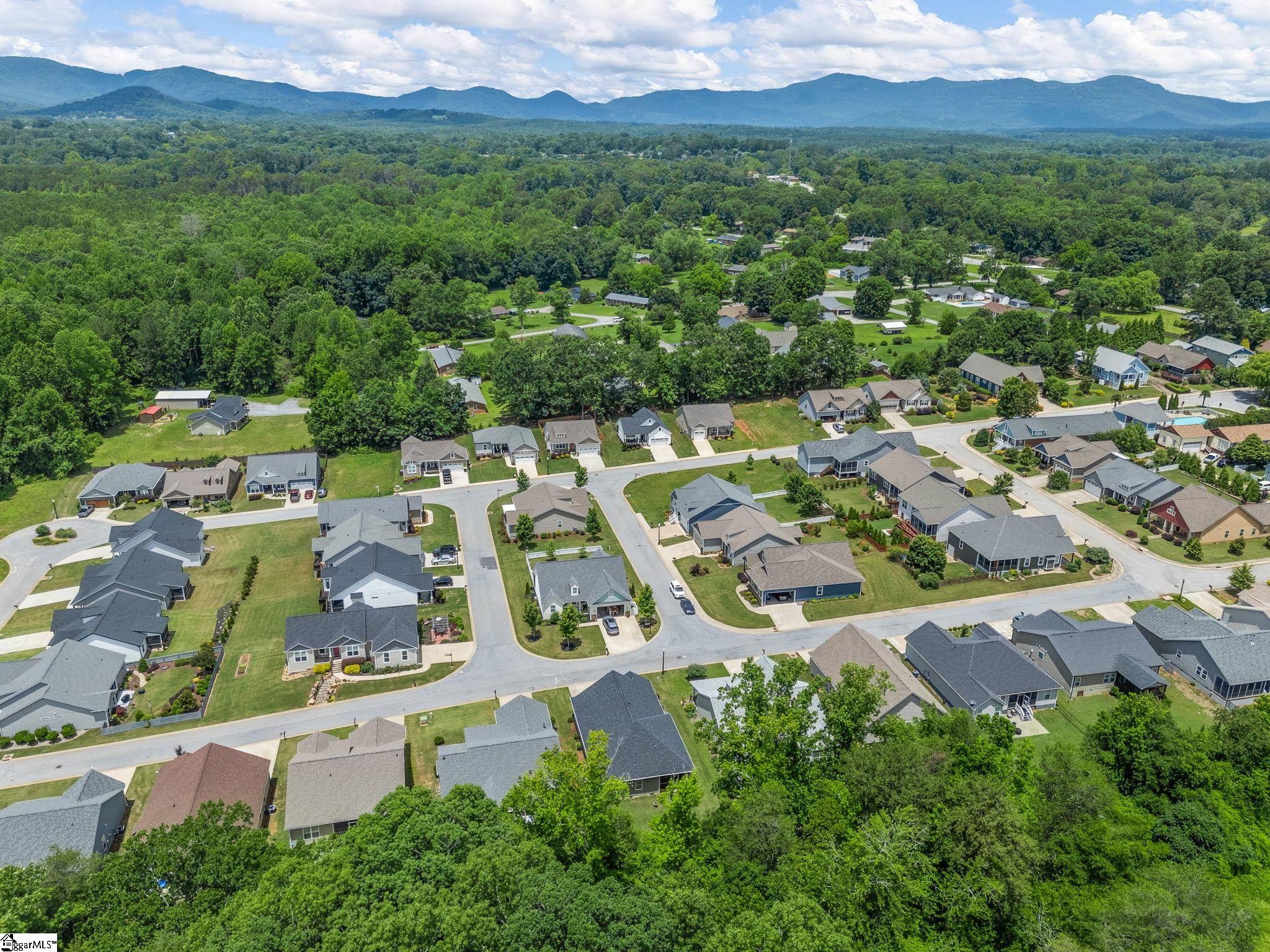 234 Page Creek, Landrum, South Carolina image 40