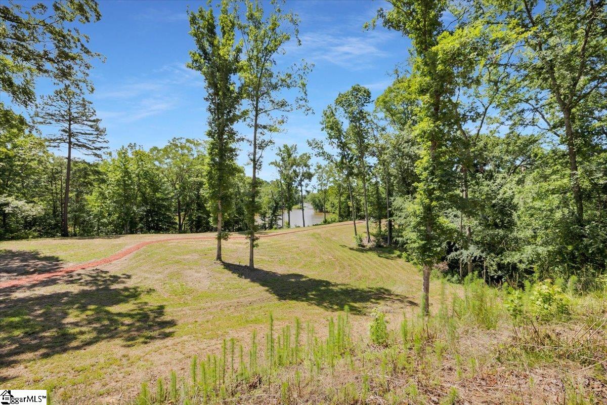 1194 Ninety-nine Island, Blacksburg, South Carolina image 41