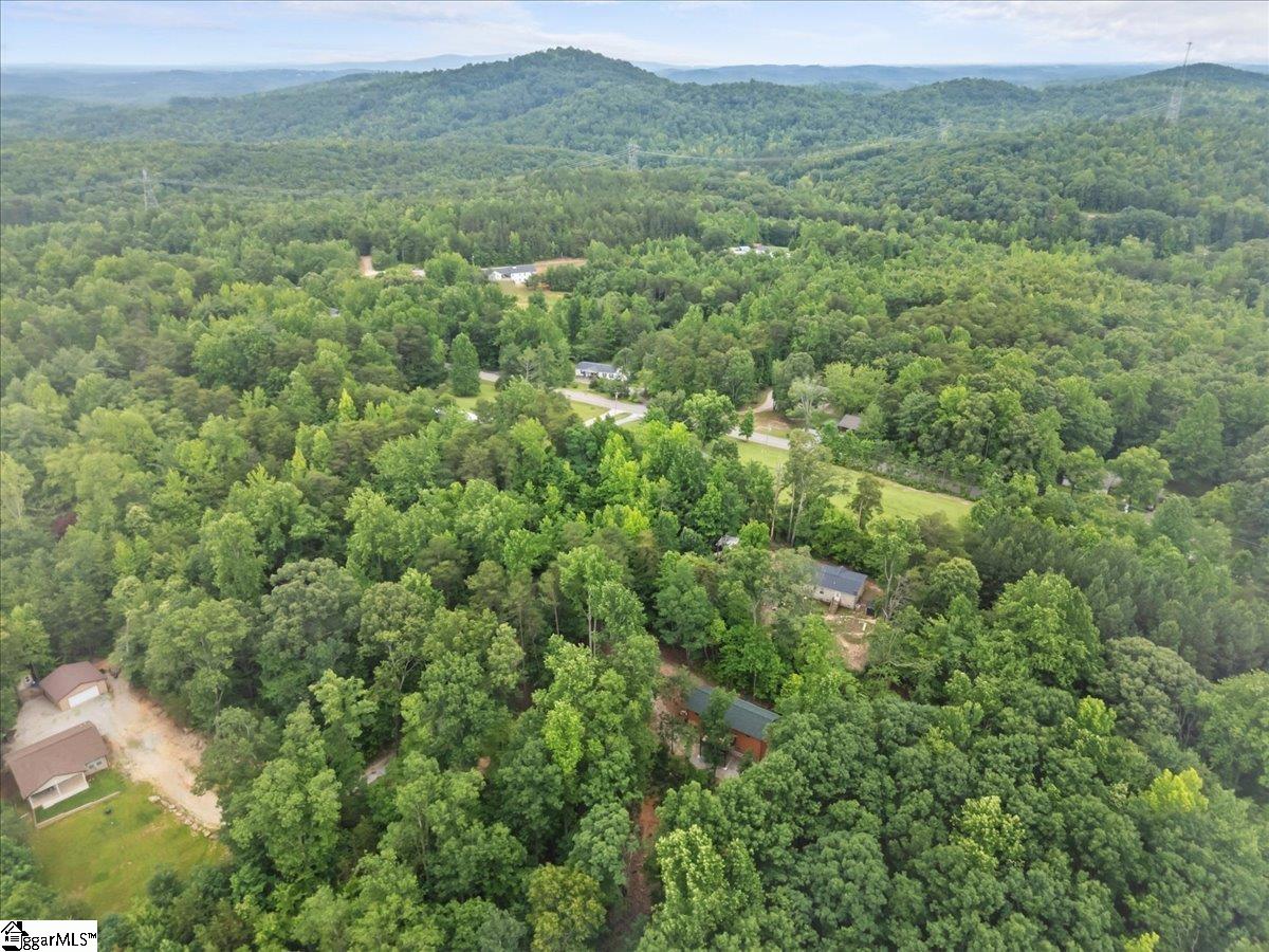 1150 Chinquapin, Travelers Rest, South Carolina image 32