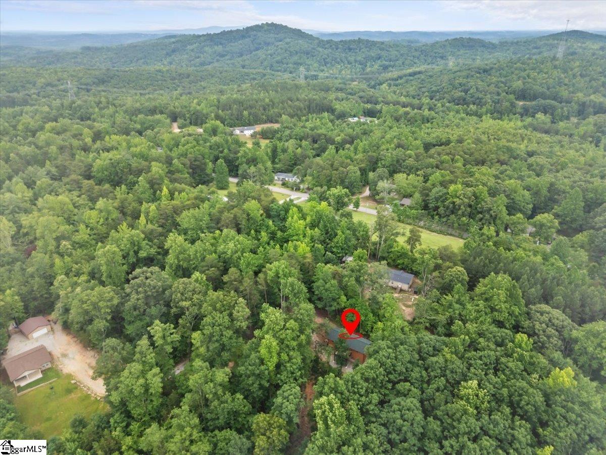 1150 Chinquapin, Travelers Rest, South Carolina image 33