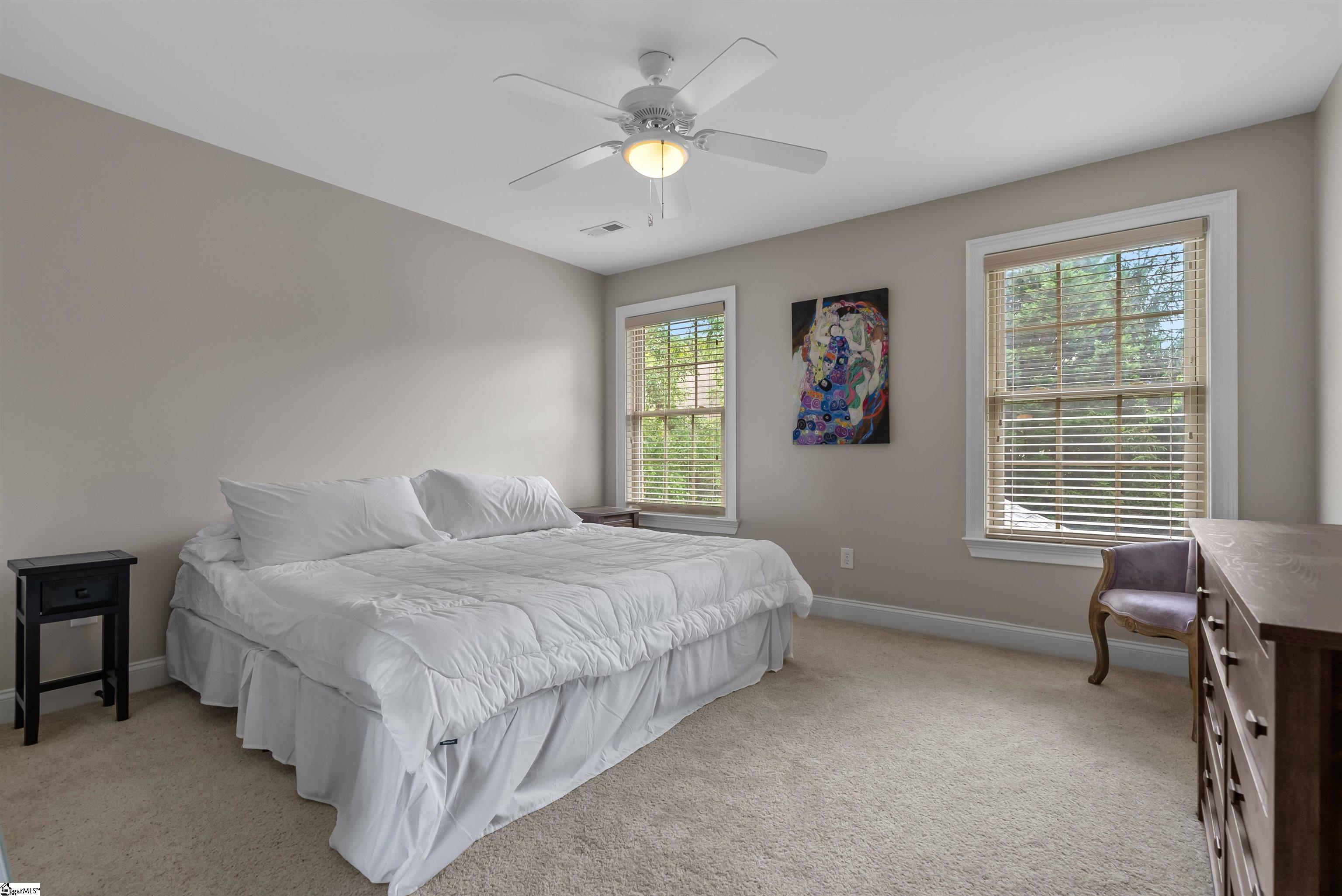 5 Bufflehead, Taylors, South Carolina image 32