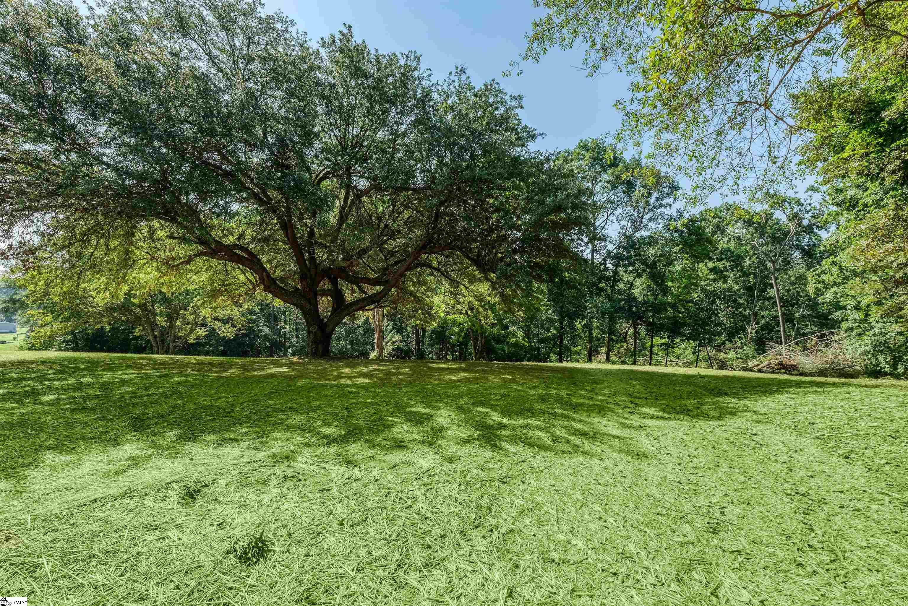 196 Folk, Chesnee, South Carolina image 27