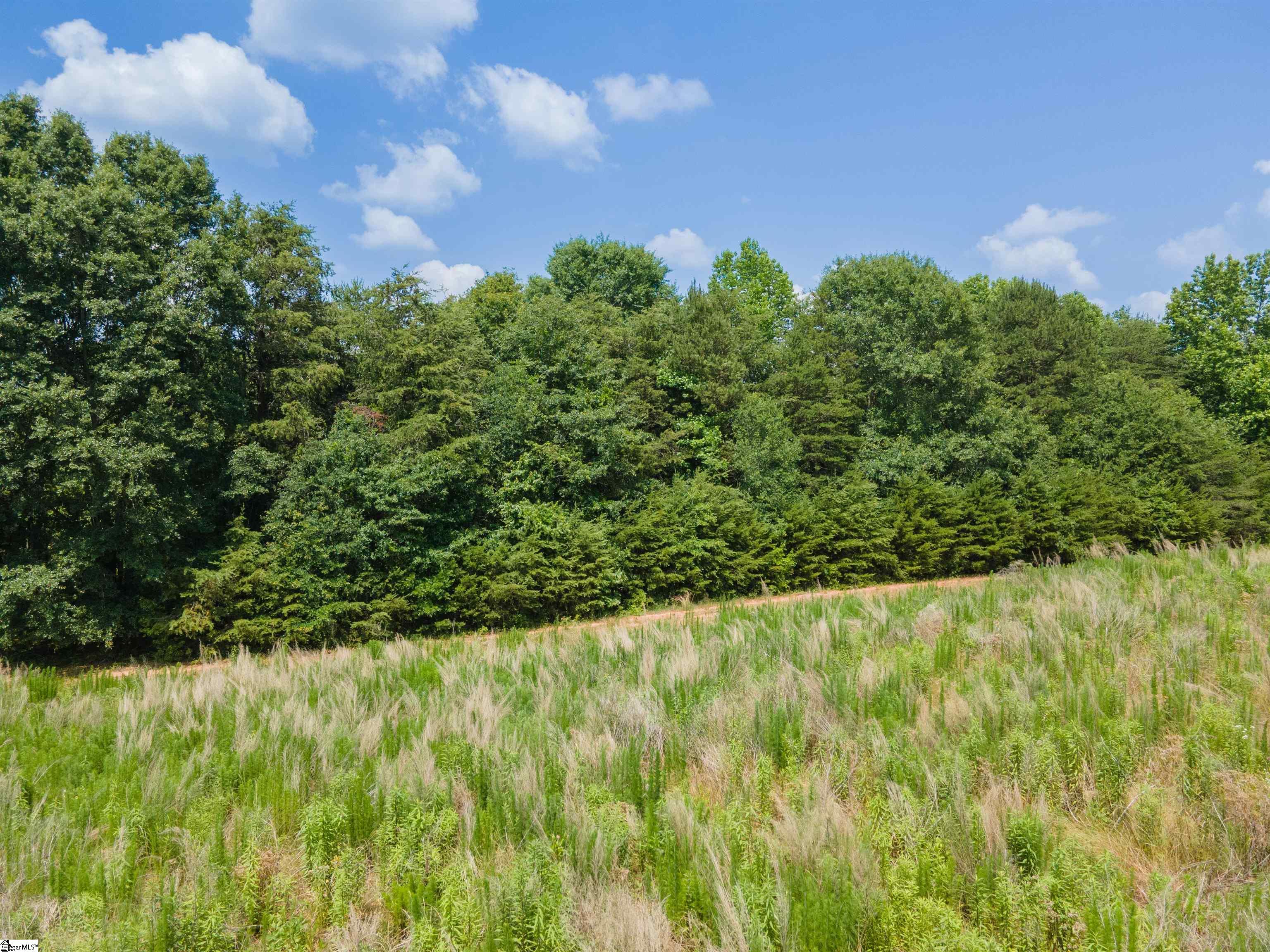 Cooley Springs Shchool, Chesnee, South Carolina image 3