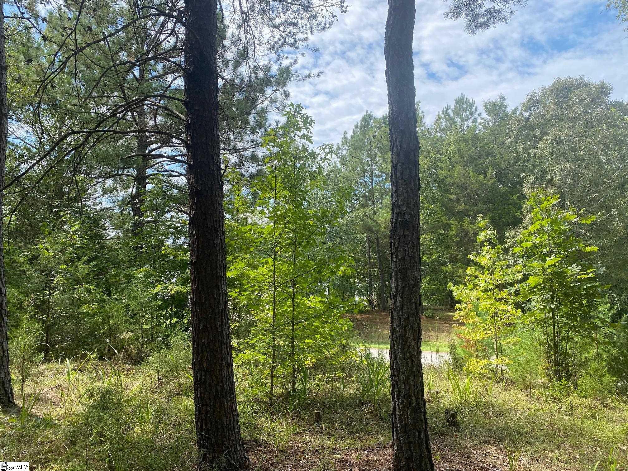 203 W Peninsula, Laurens, South Carolina image 2