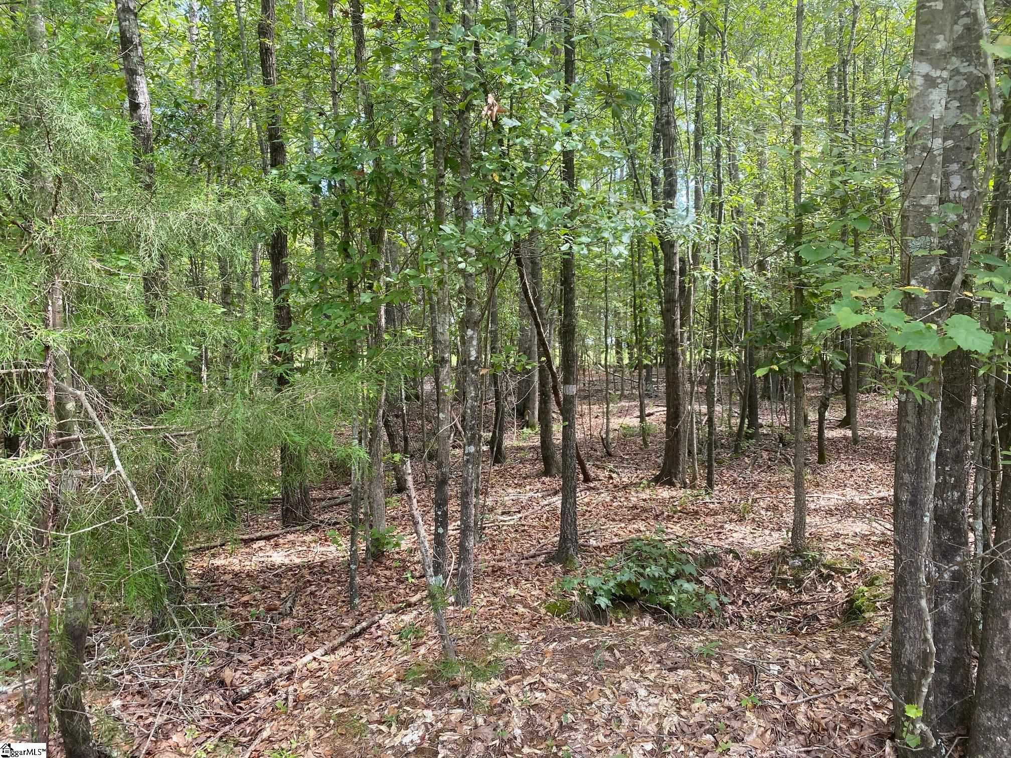 203 W Peninsula, Laurens, South Carolina image 3