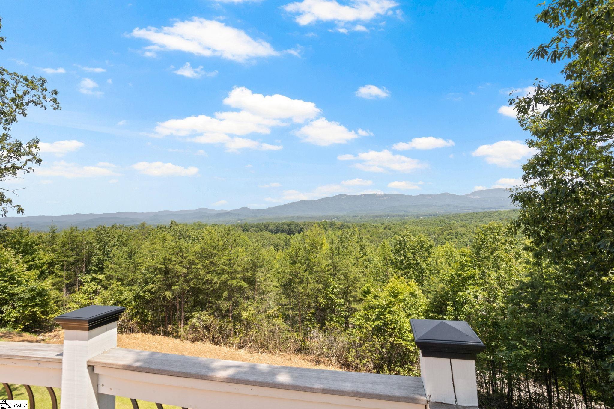 600 Packs Mountain Ridge, Taylors, South Carolina image 44